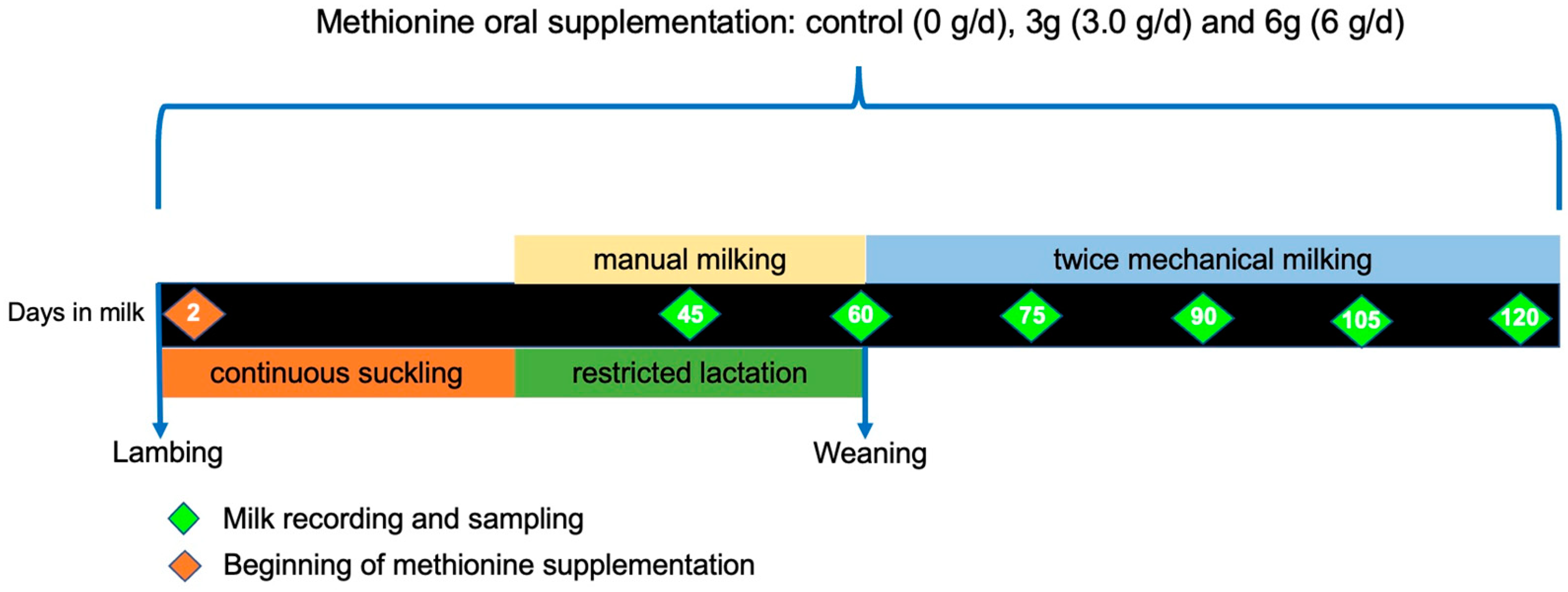 Animals 15 00960 g001