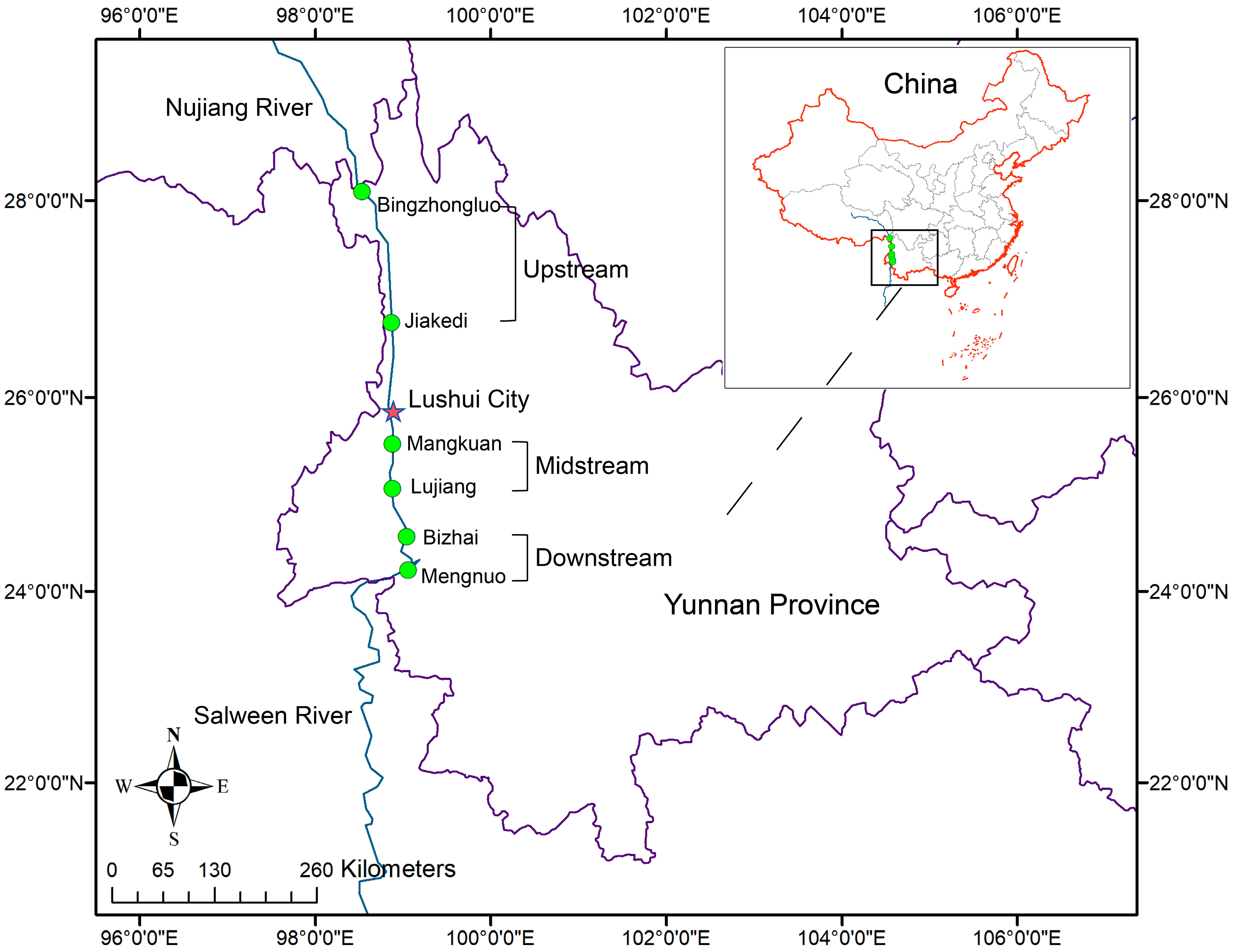 Animals 15 00961 g001