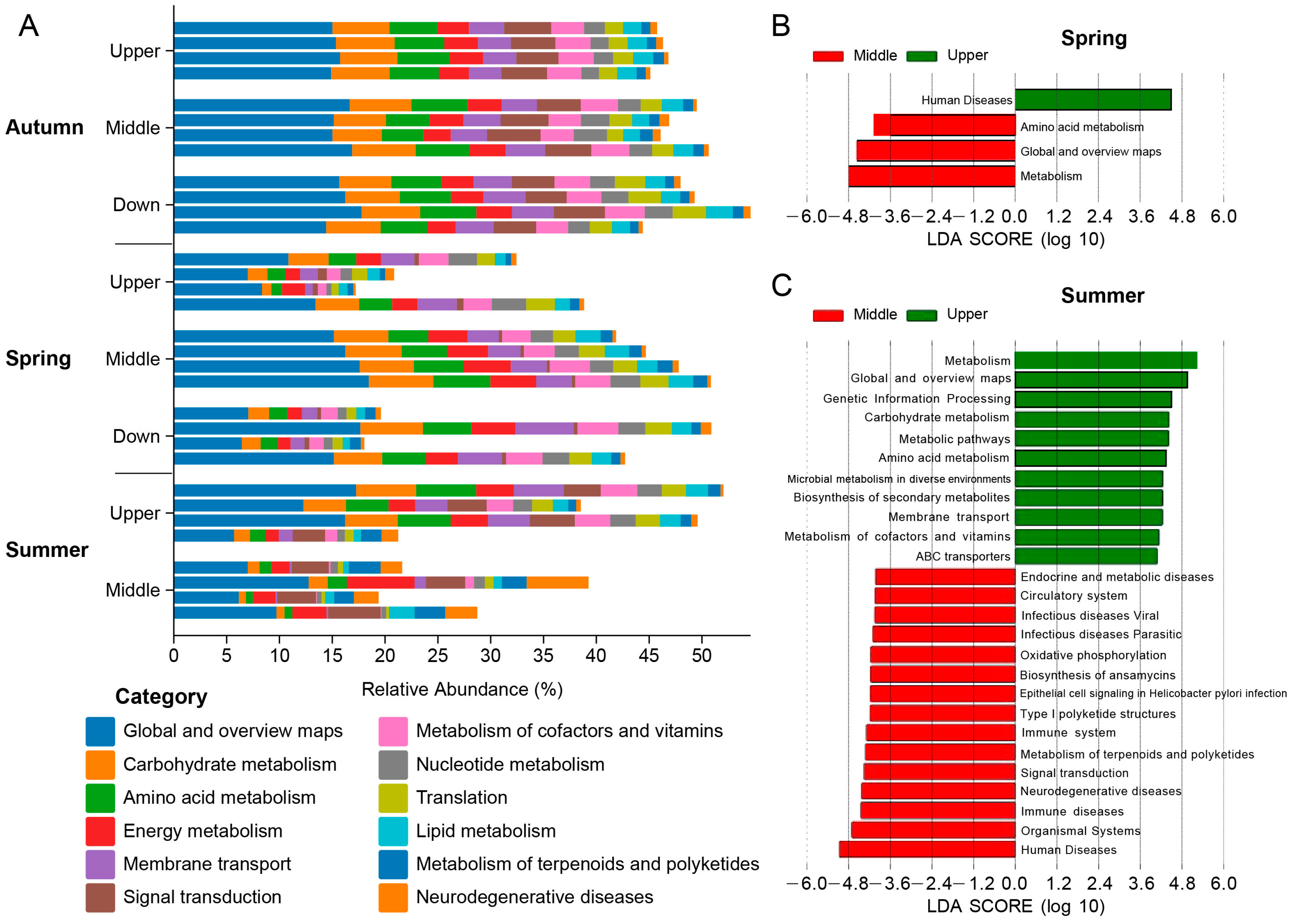 Animals 15 00961 g007