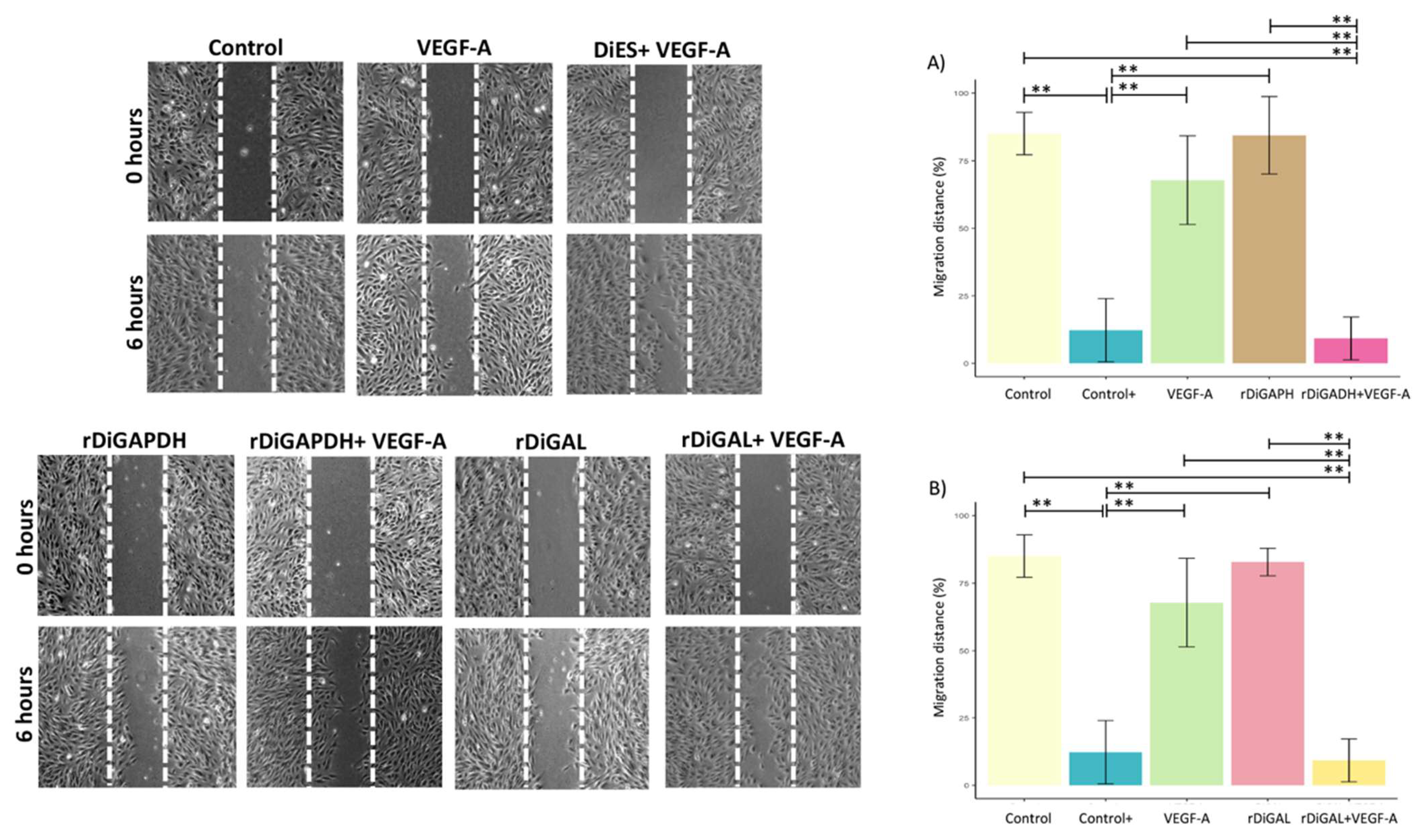 Animals 15 00964 g008