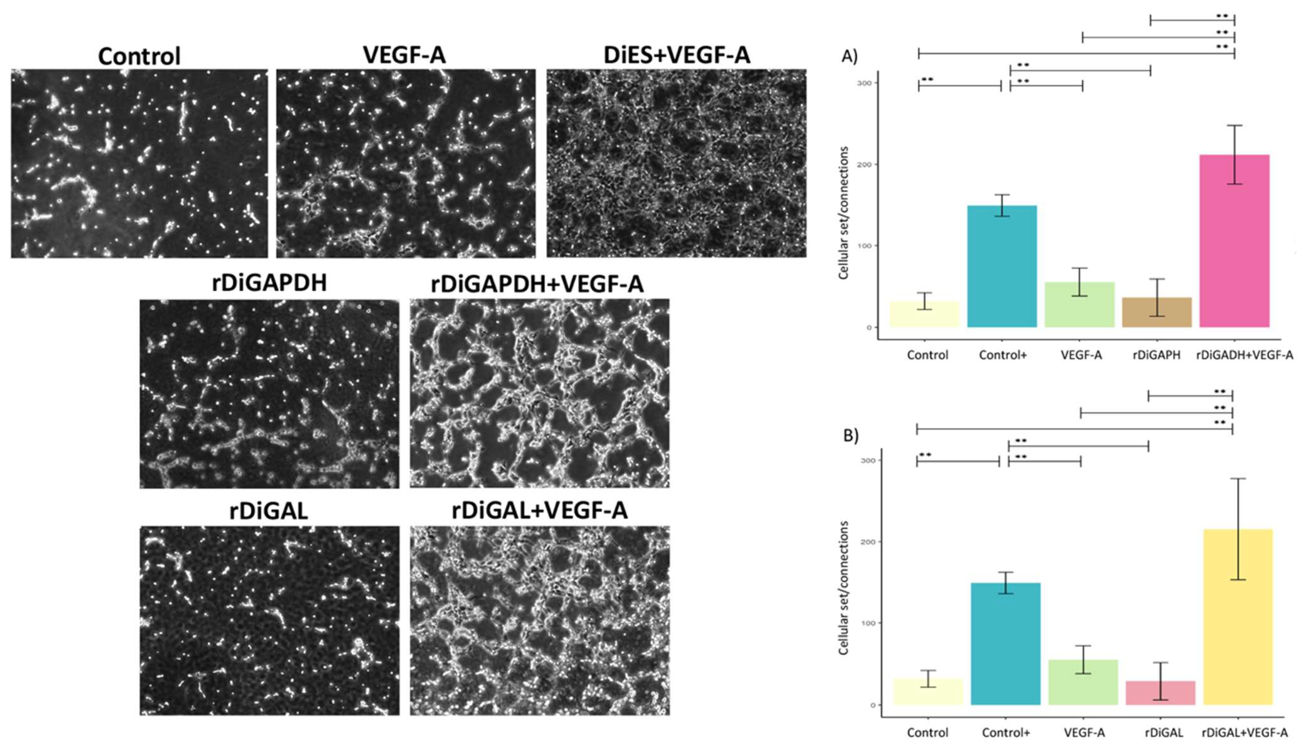 Animals 15 00964 g009