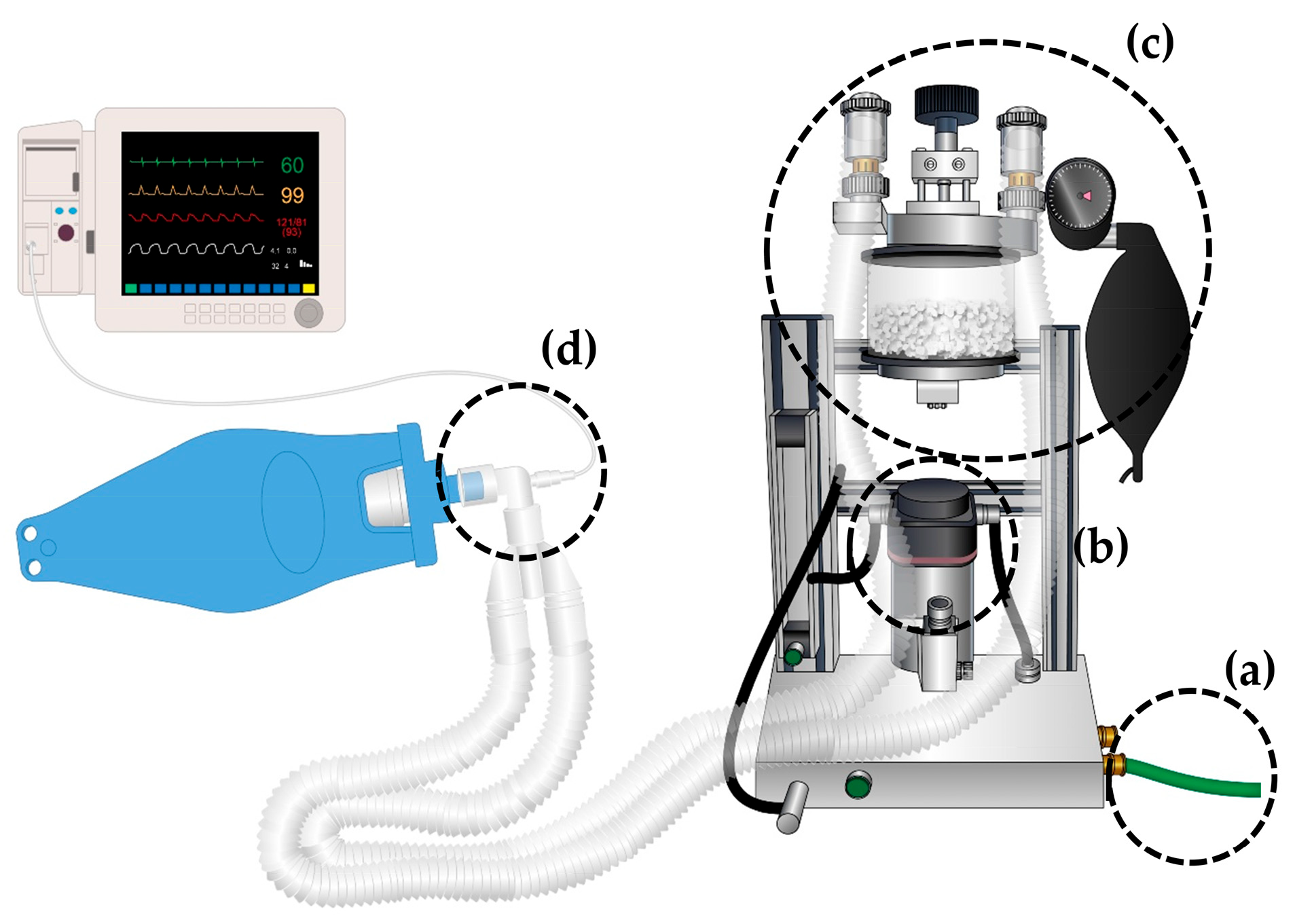 Animals 15 00973 g001