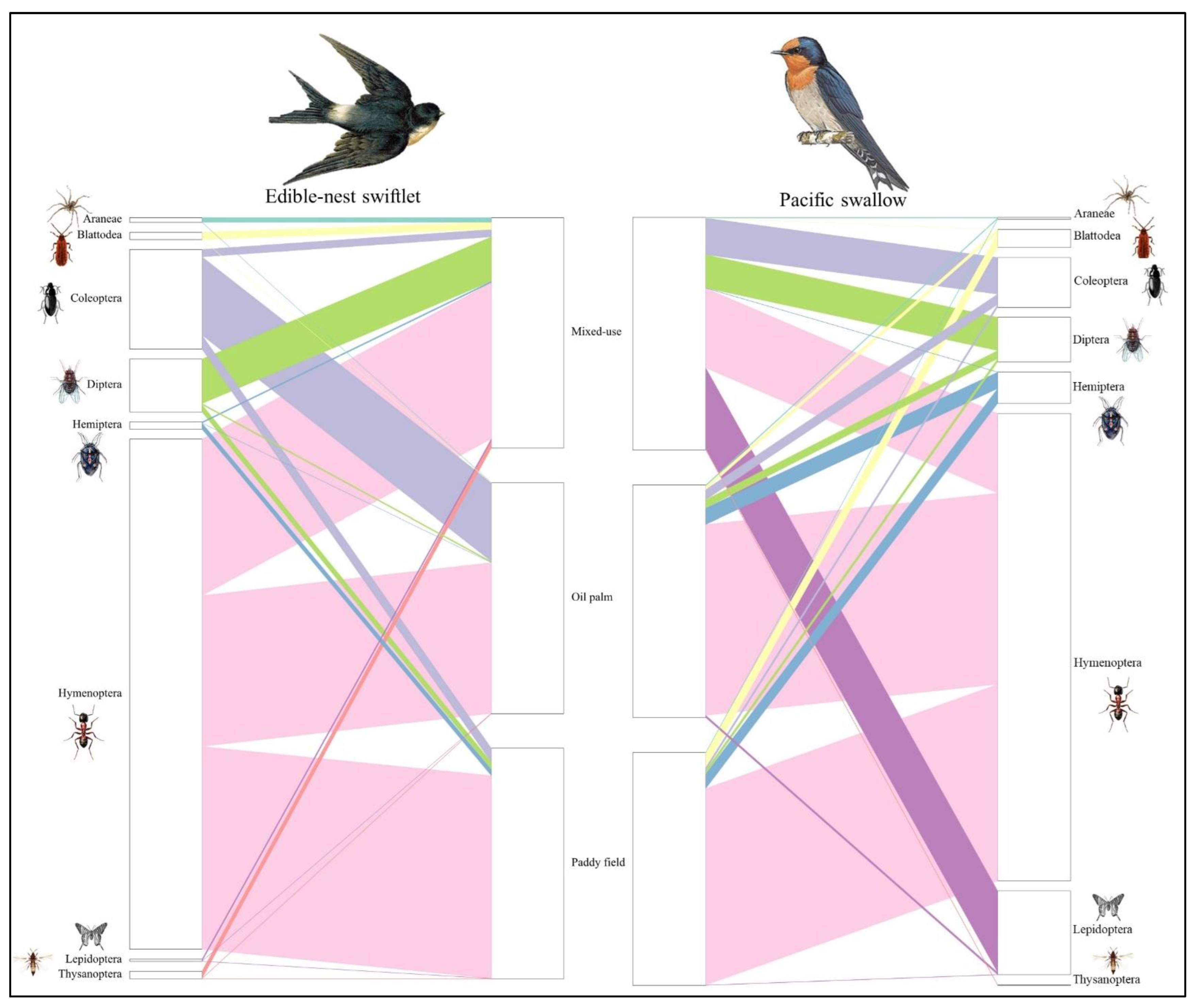 Animals 15 00974 g002