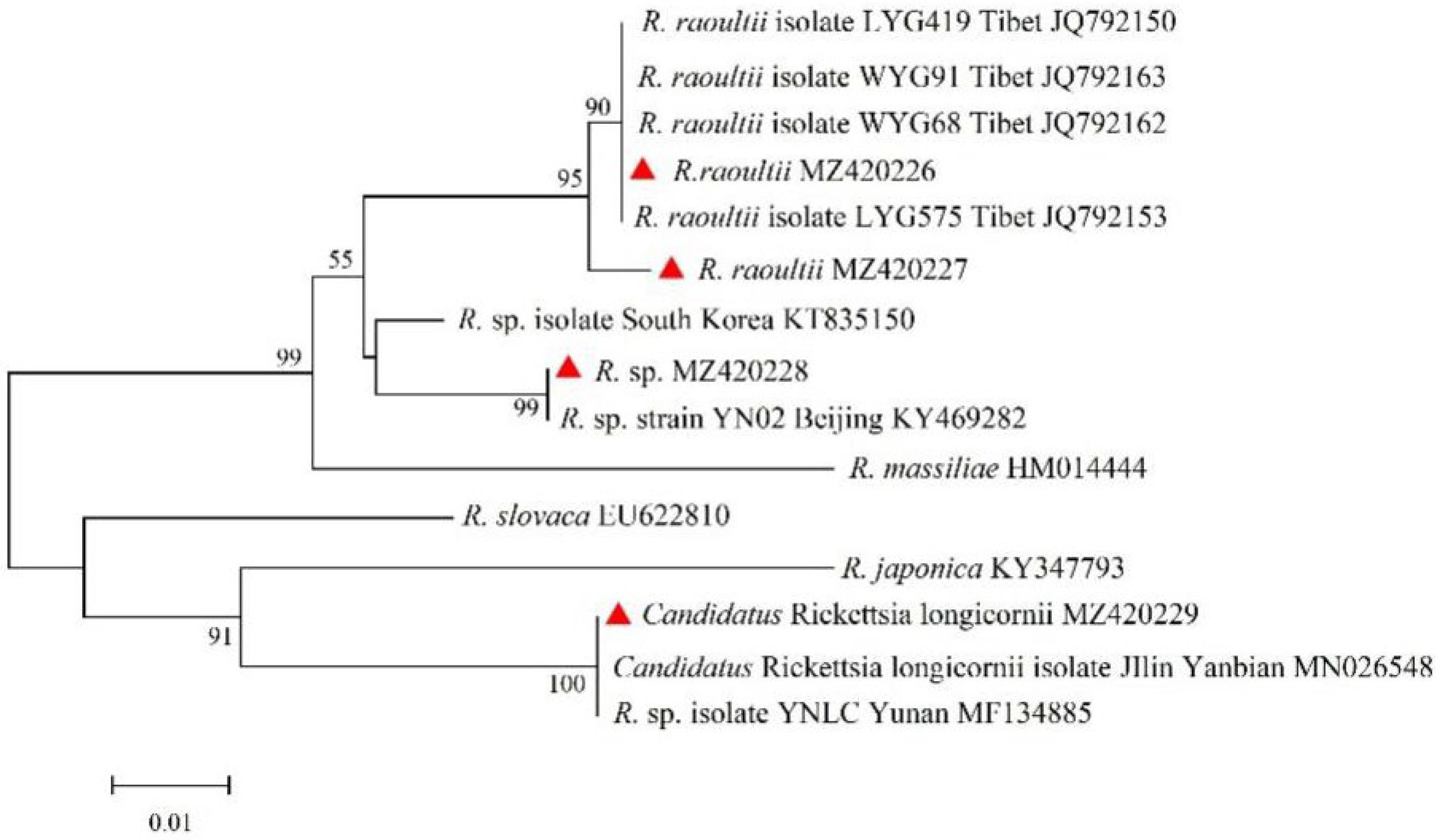 Animals 15 00975 g003