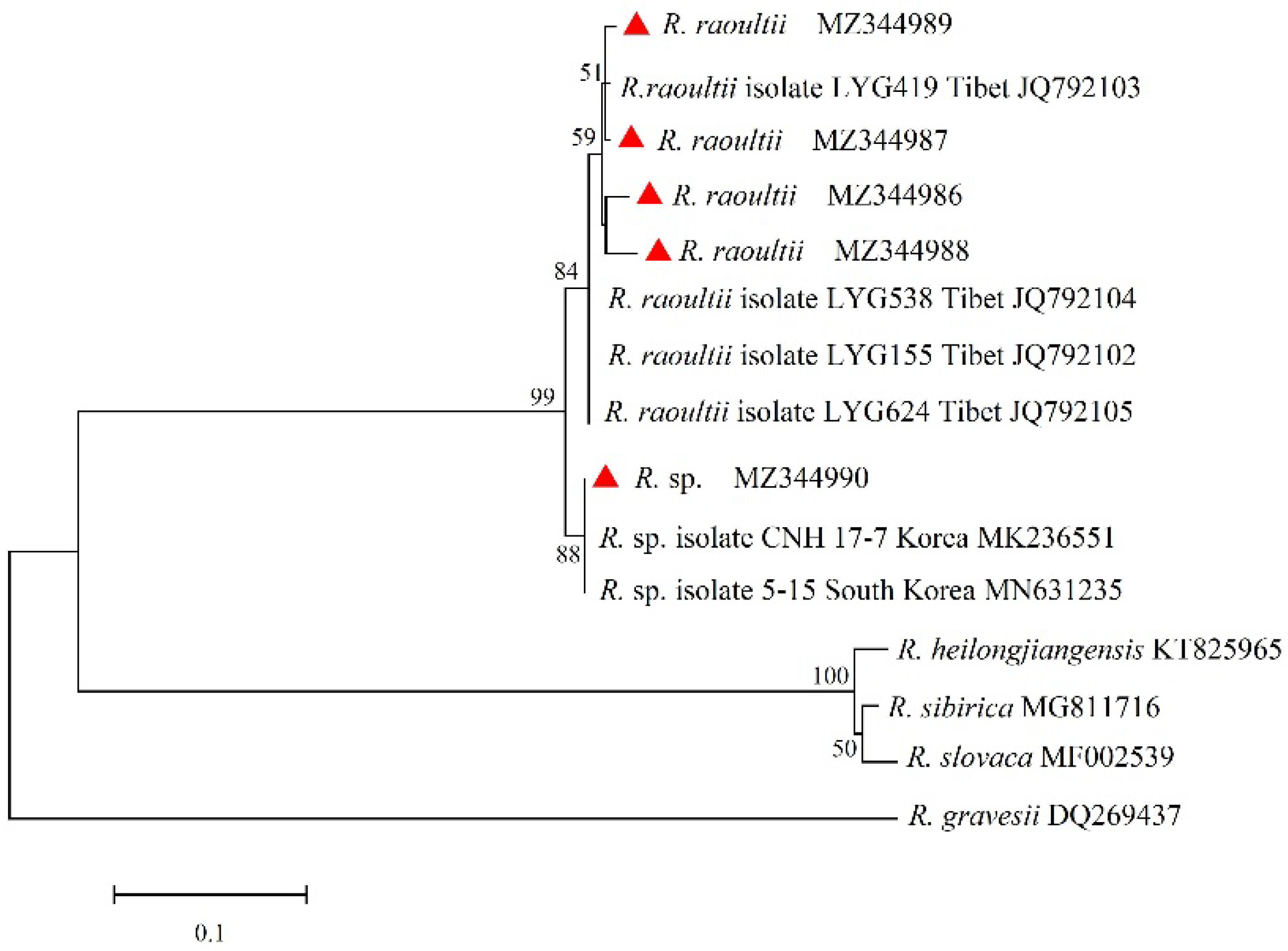 Animals 15 00975 g004