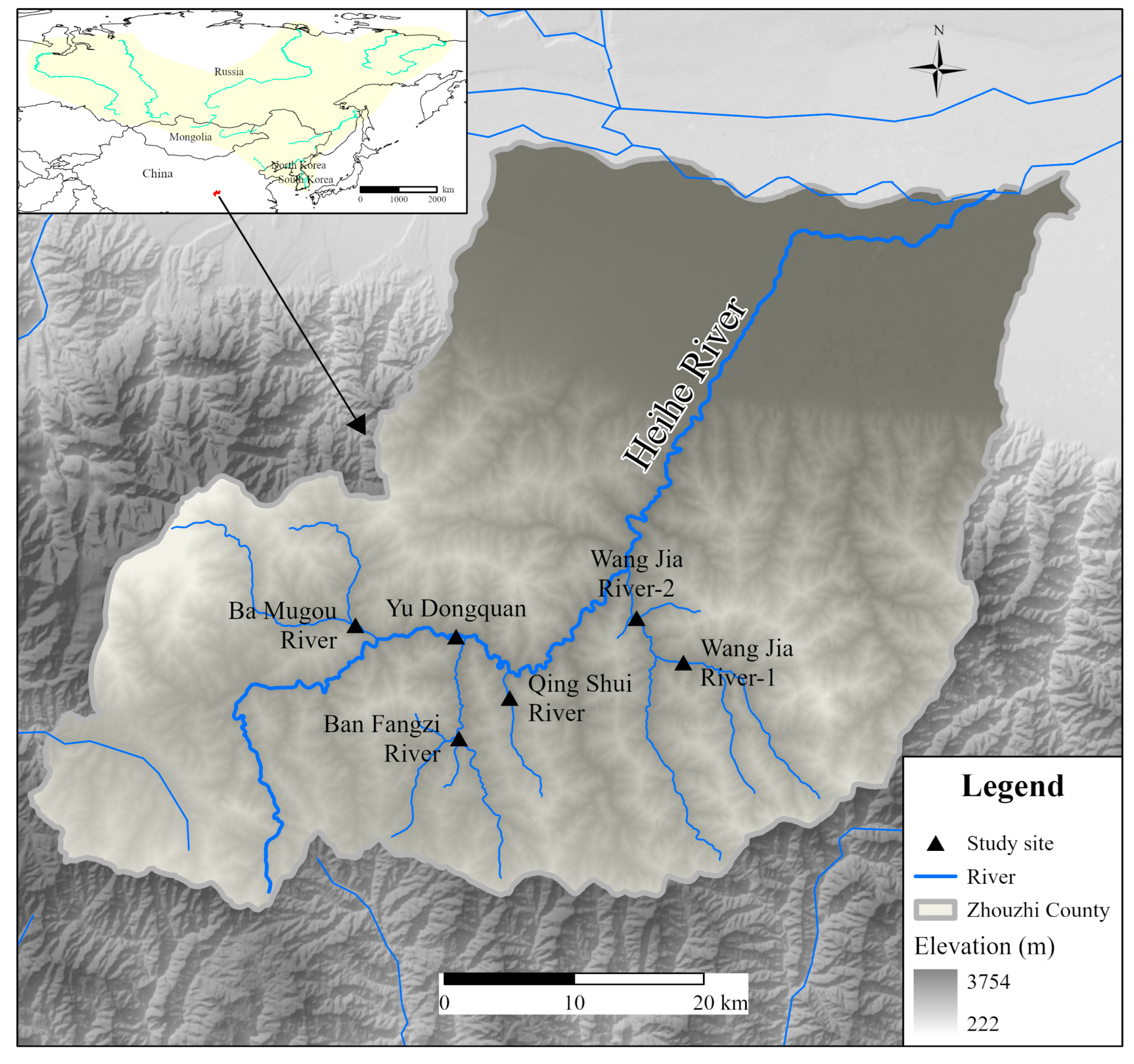 Animals 15 00977 g001