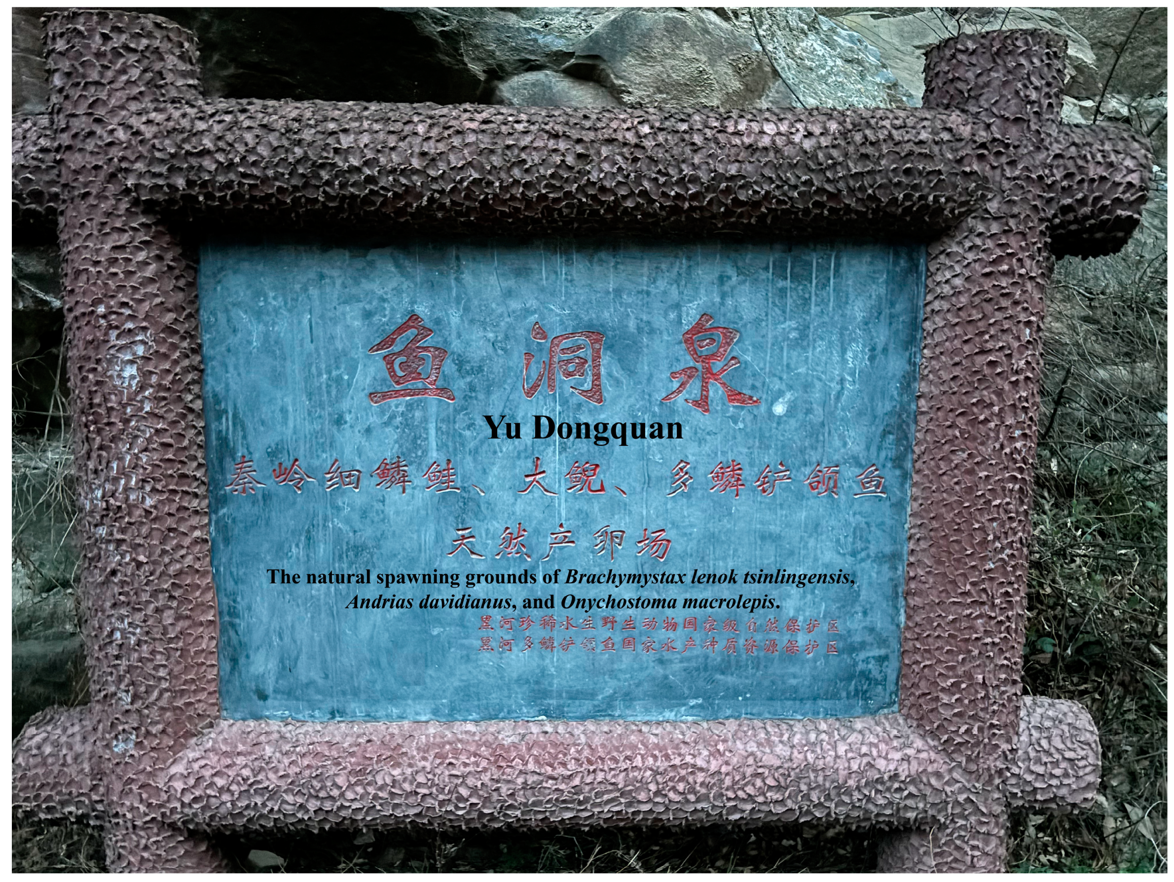 Animals 15 00977 g006