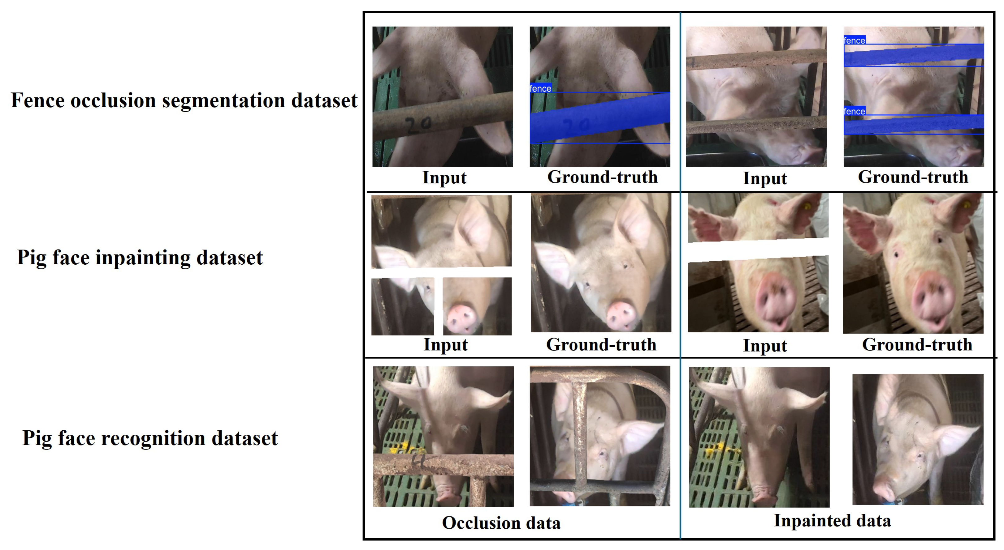 Animals 15 00978 g002