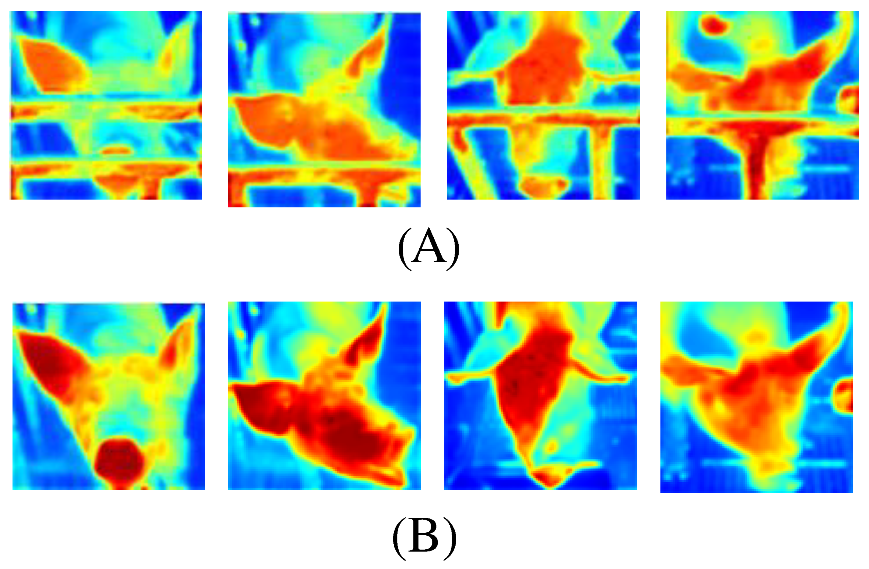 Animals 15 00978 g006