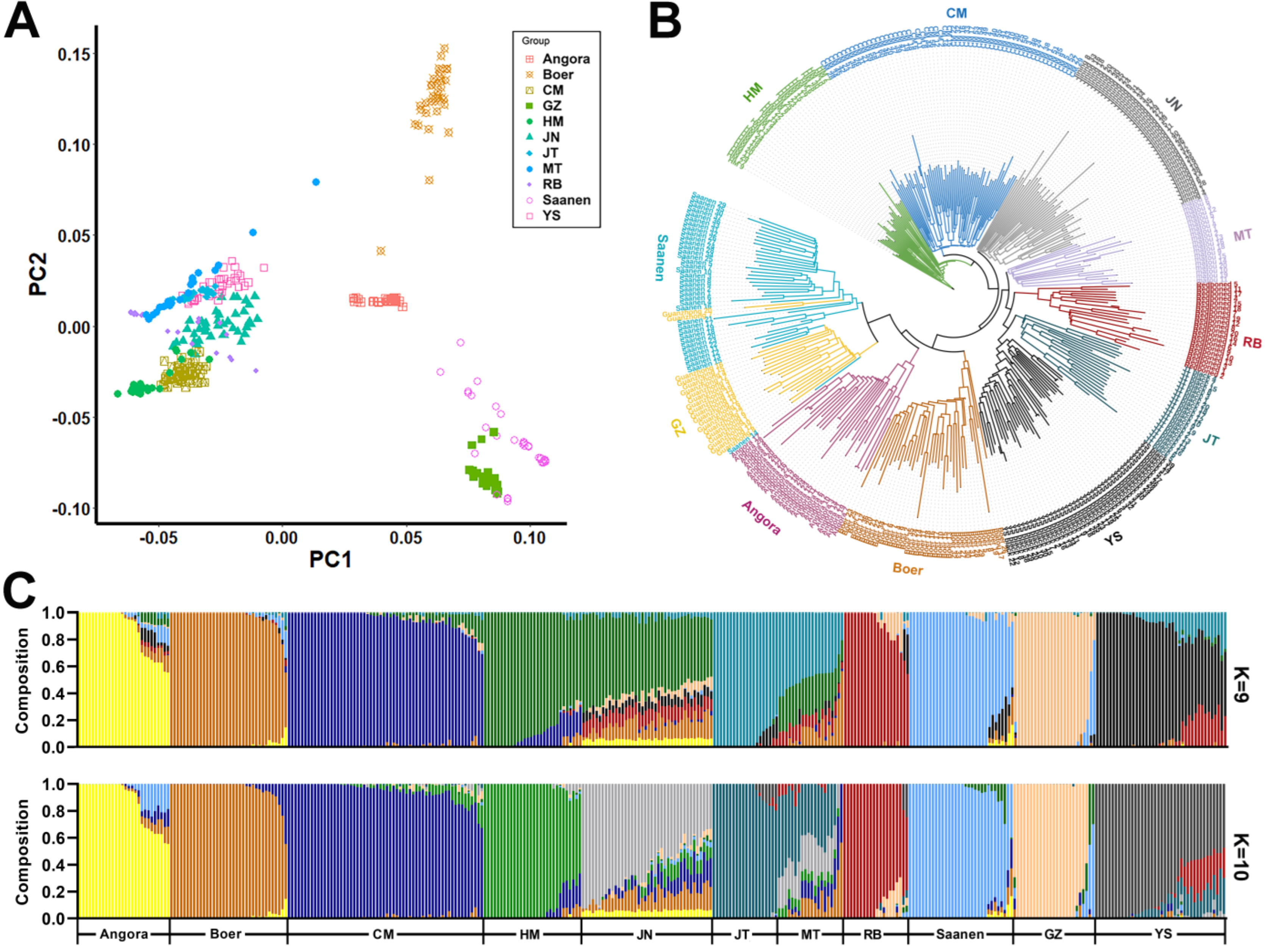 Animals 15 00979 g001