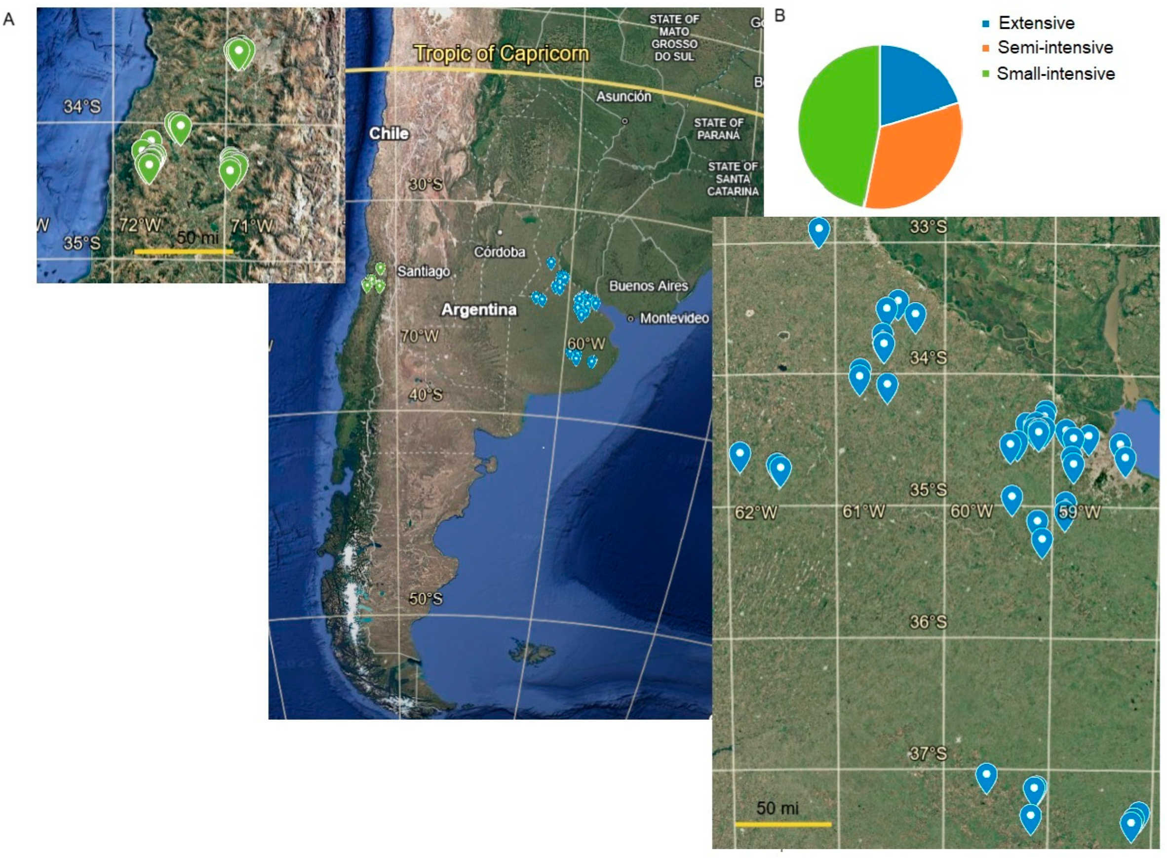 Animals 15 00982 g001