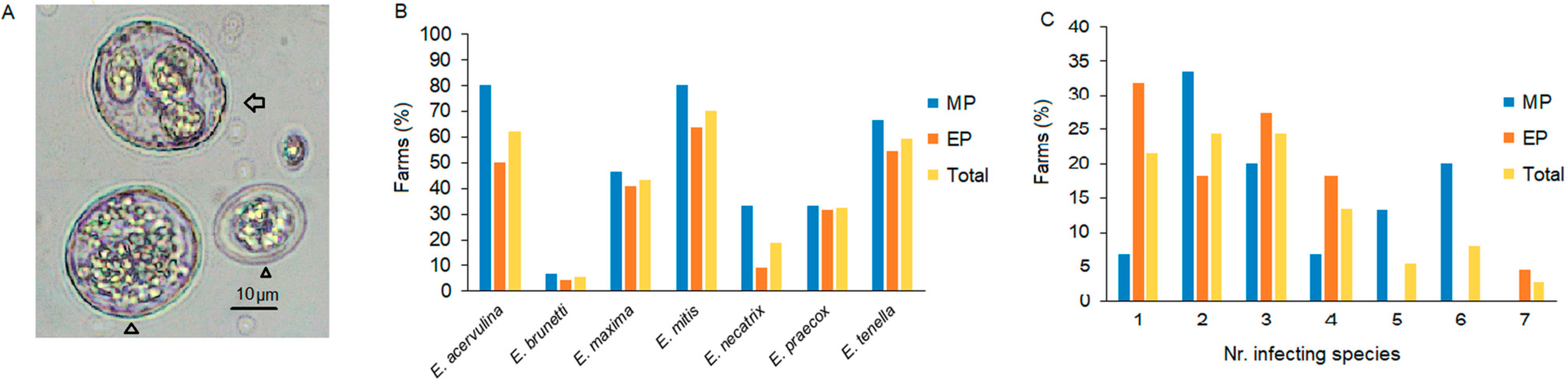 Animals 15 00982 g003