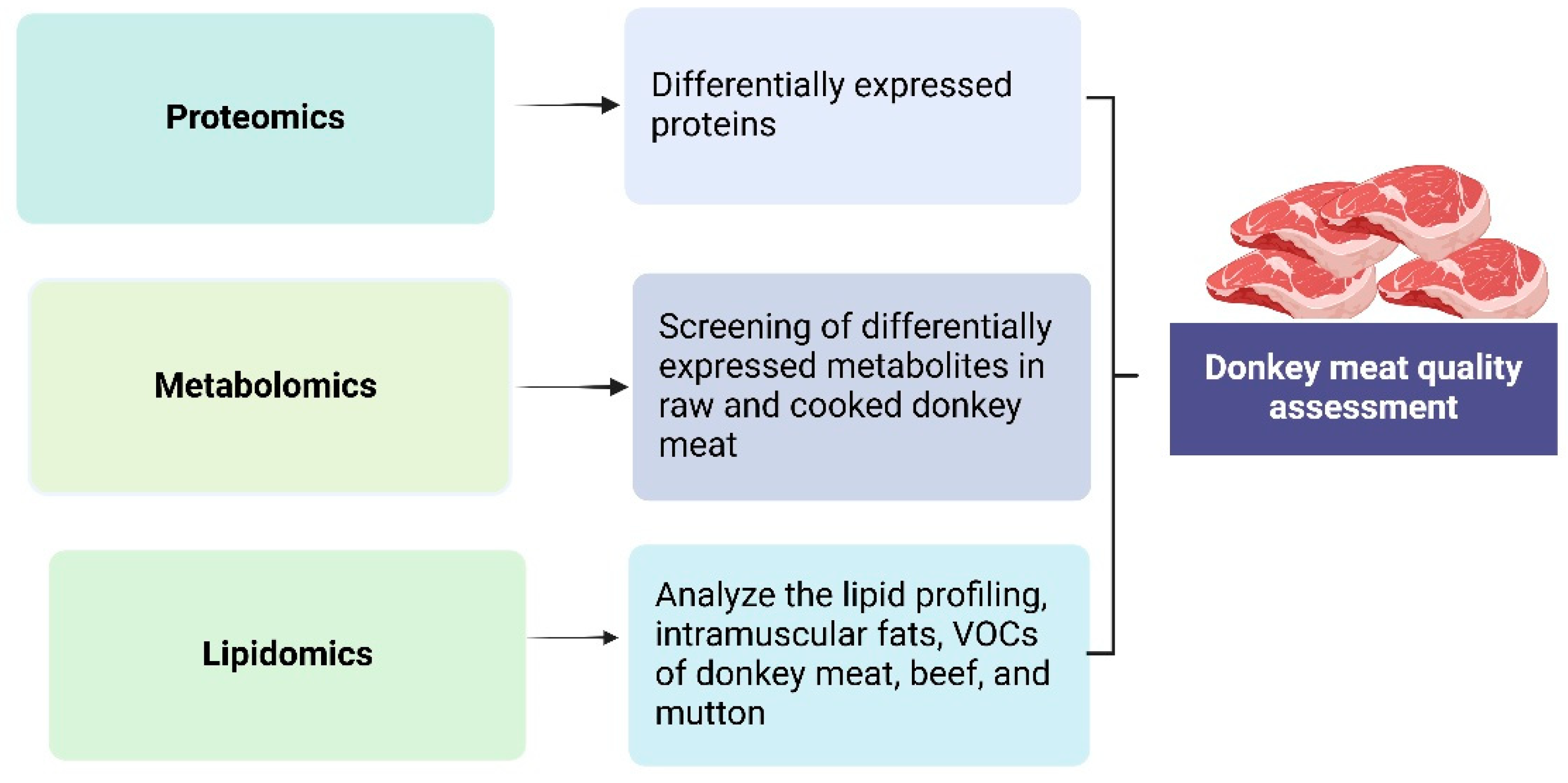 Animals 15 00991 g001