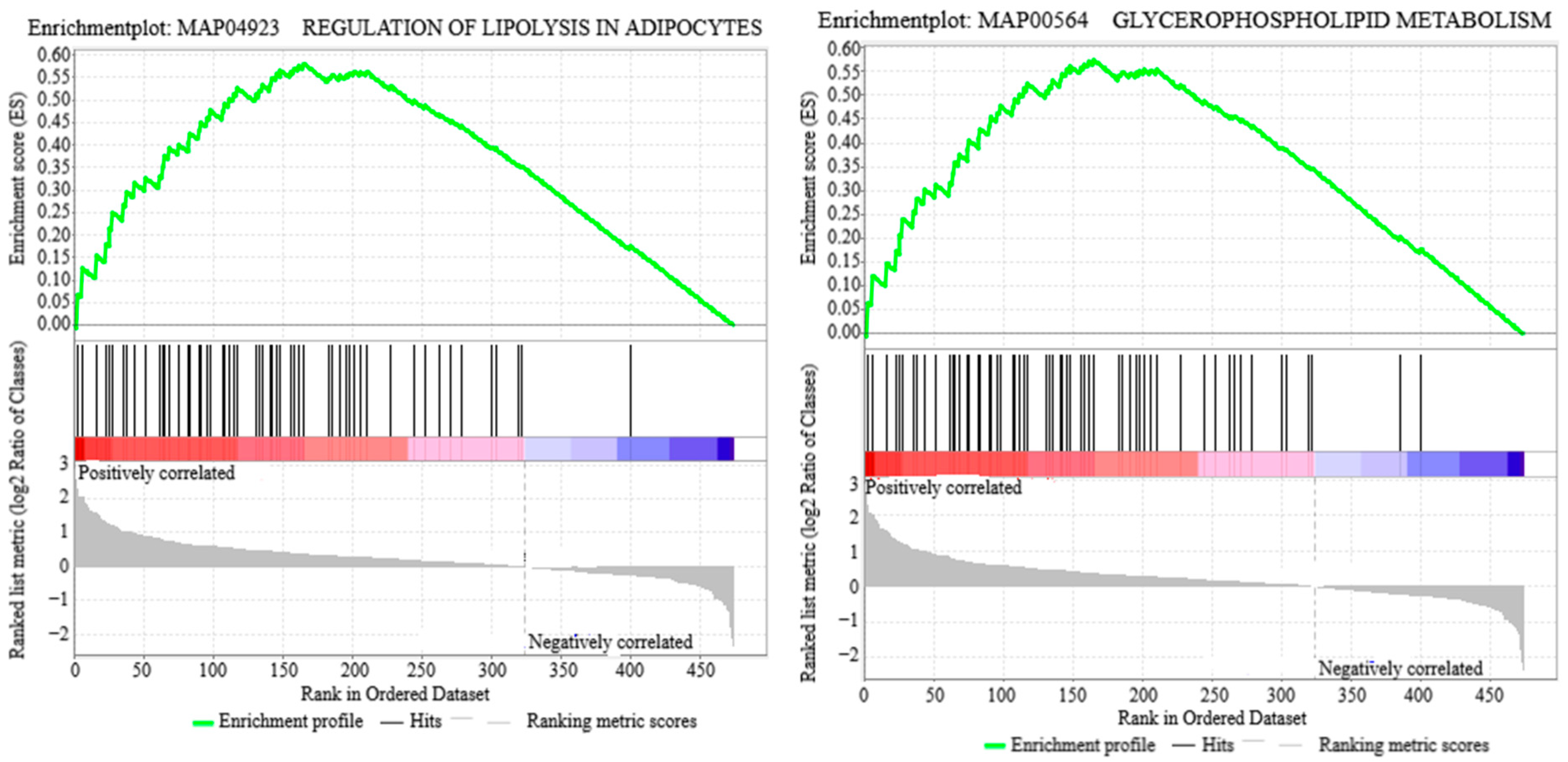 Animals 15 00994 g003a