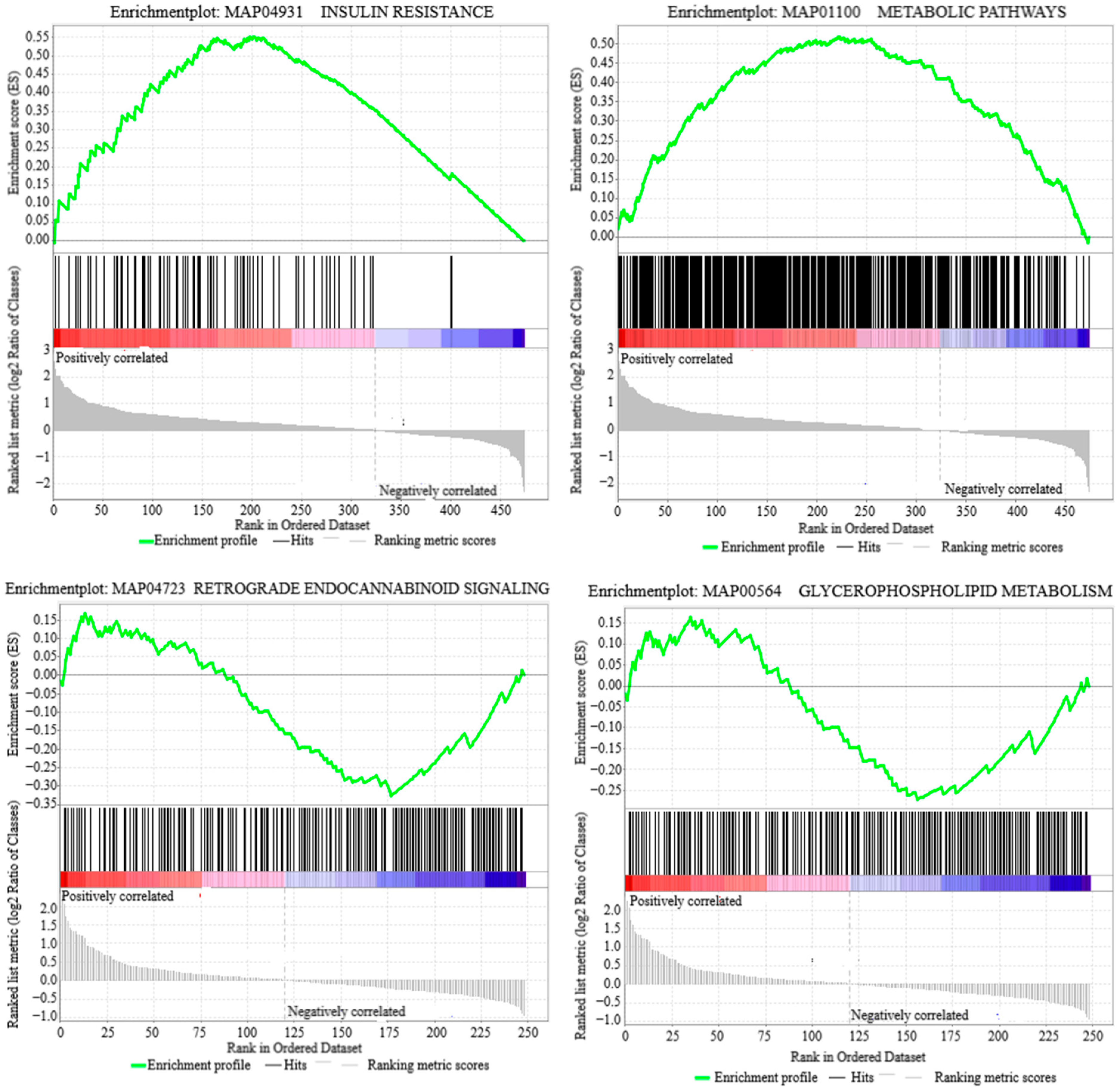 Animals 15 00994 g003b