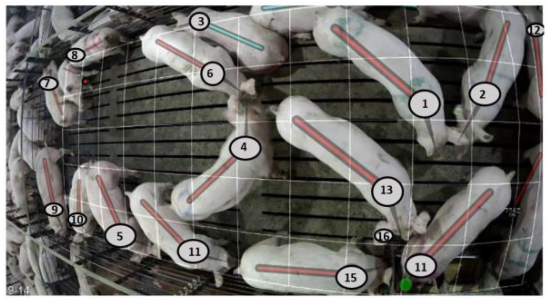 Animals 15 00996 g001