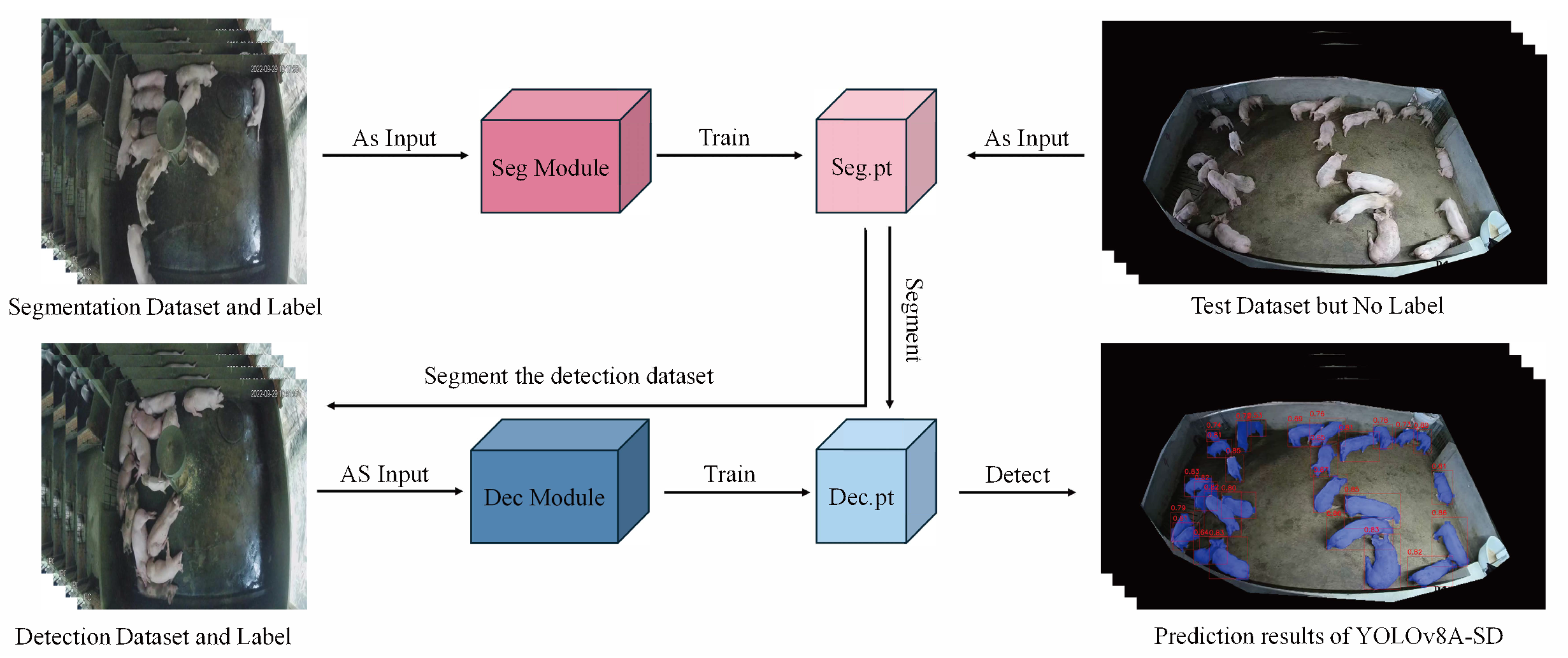 Animals 15 01000 g002