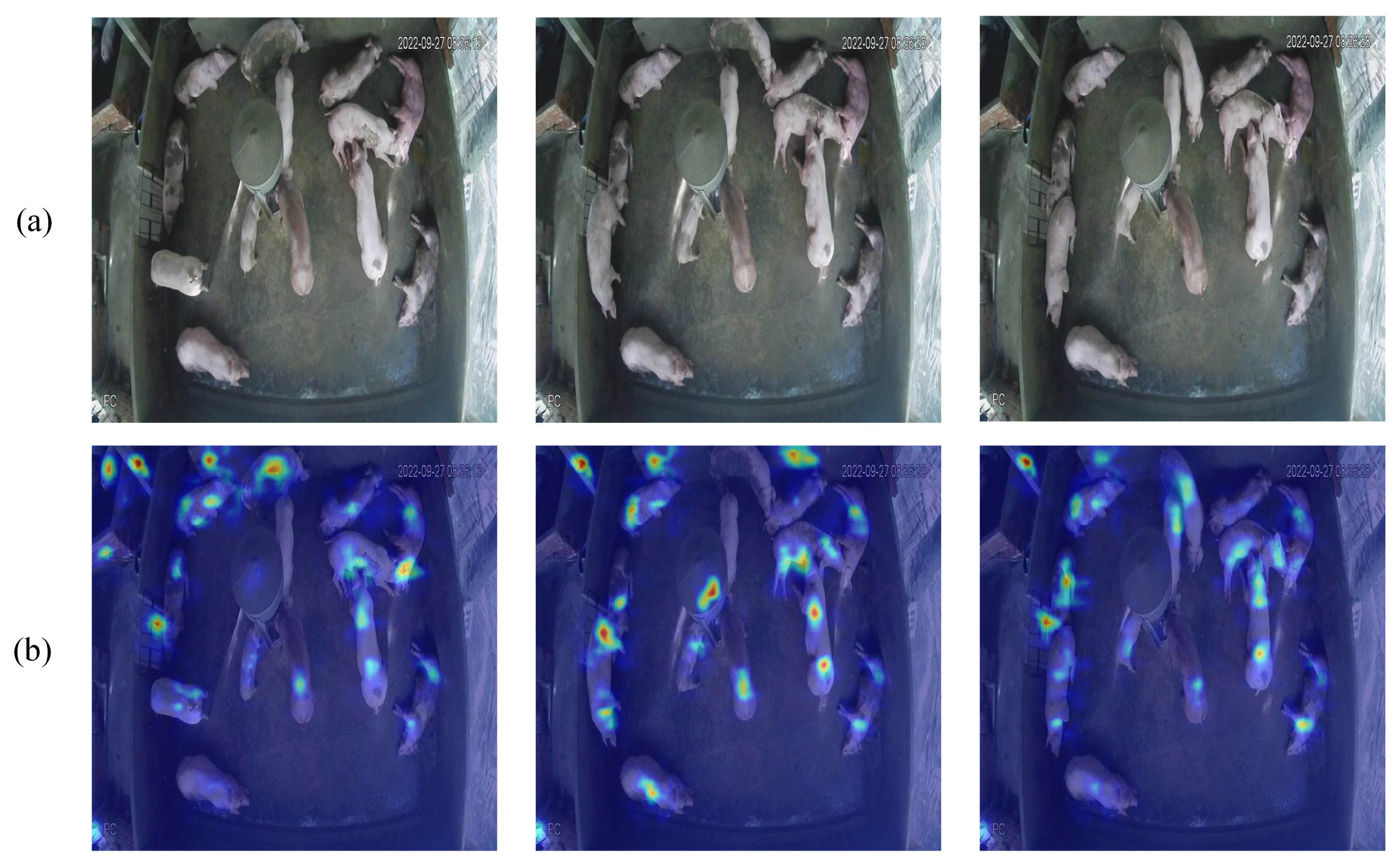 Animals 15 01000 g003