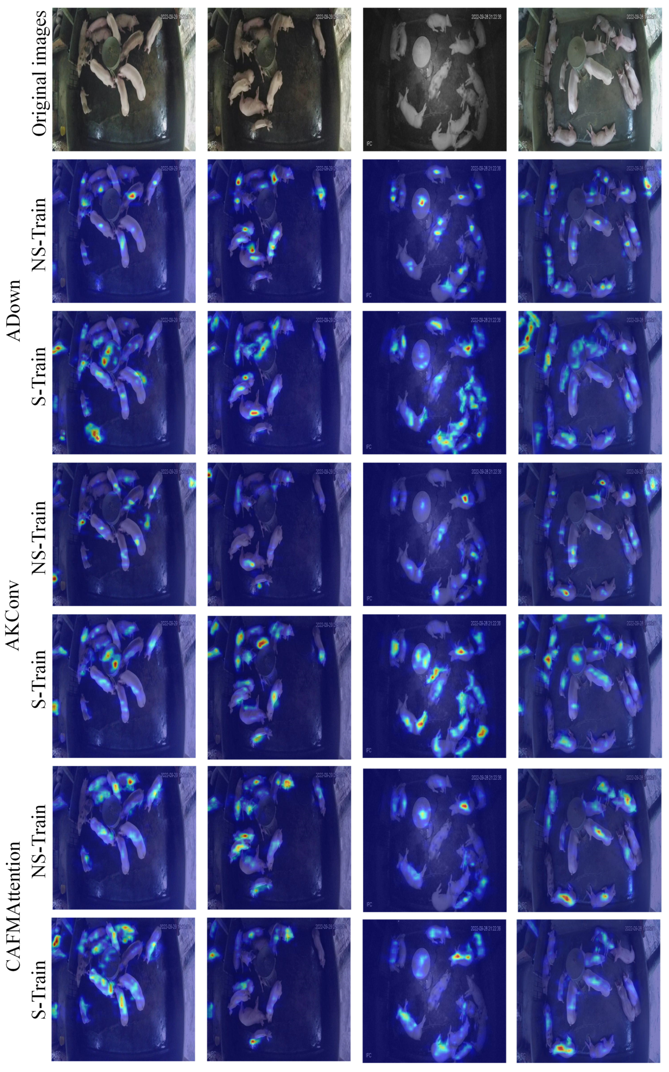 Animals 15 01000 g006