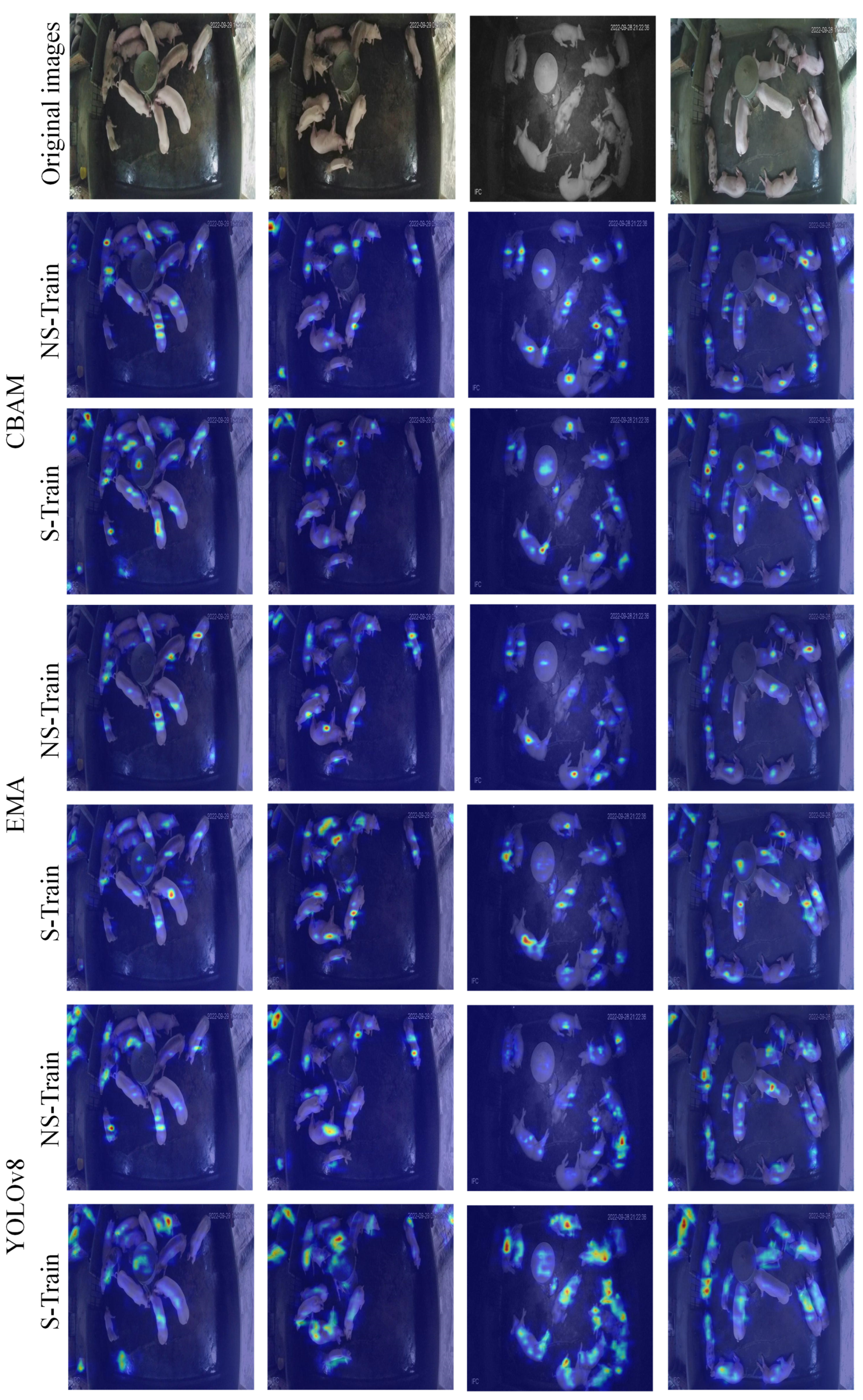 Animals 15 01000 g007