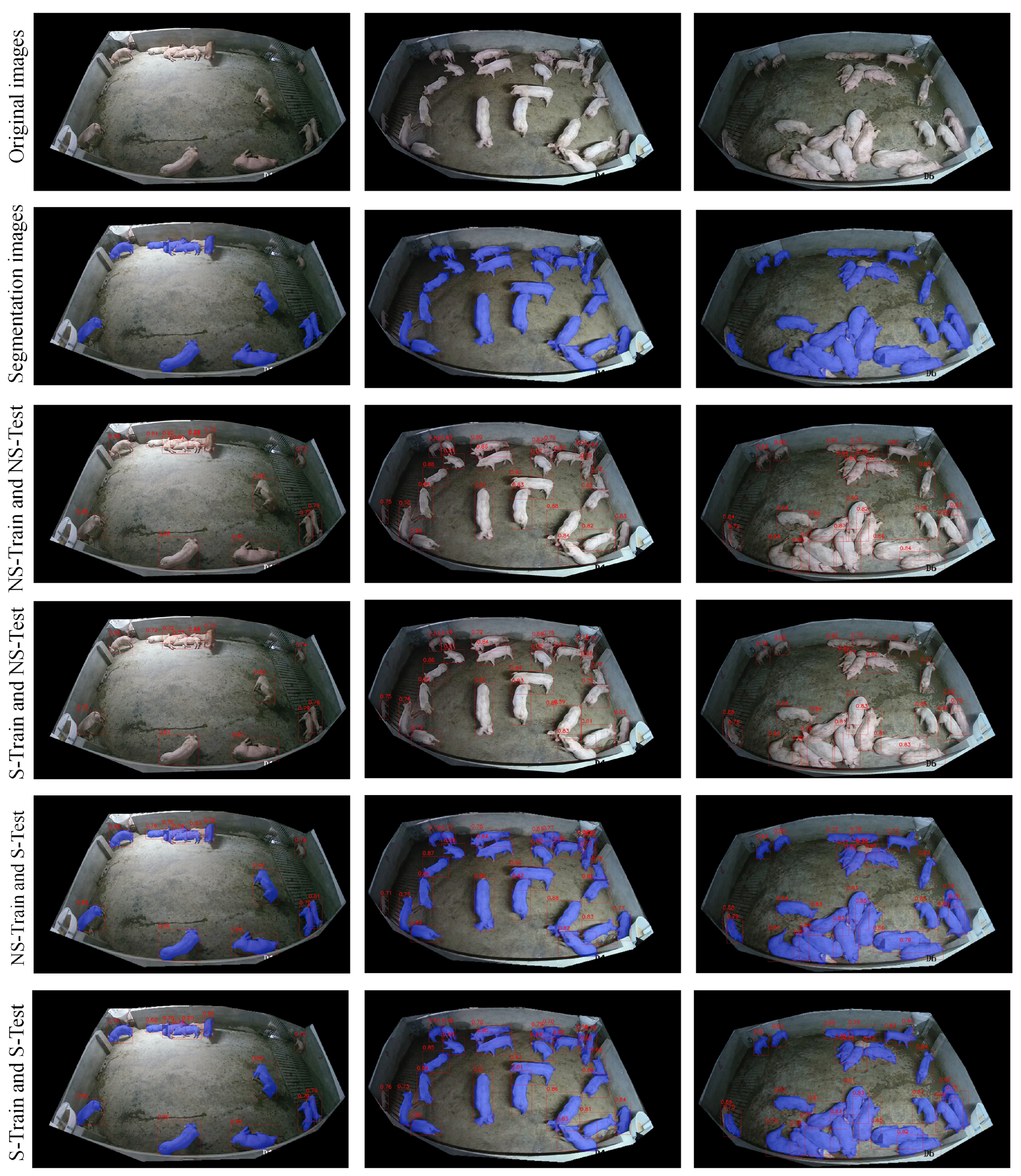 Animals 15 01000 g008