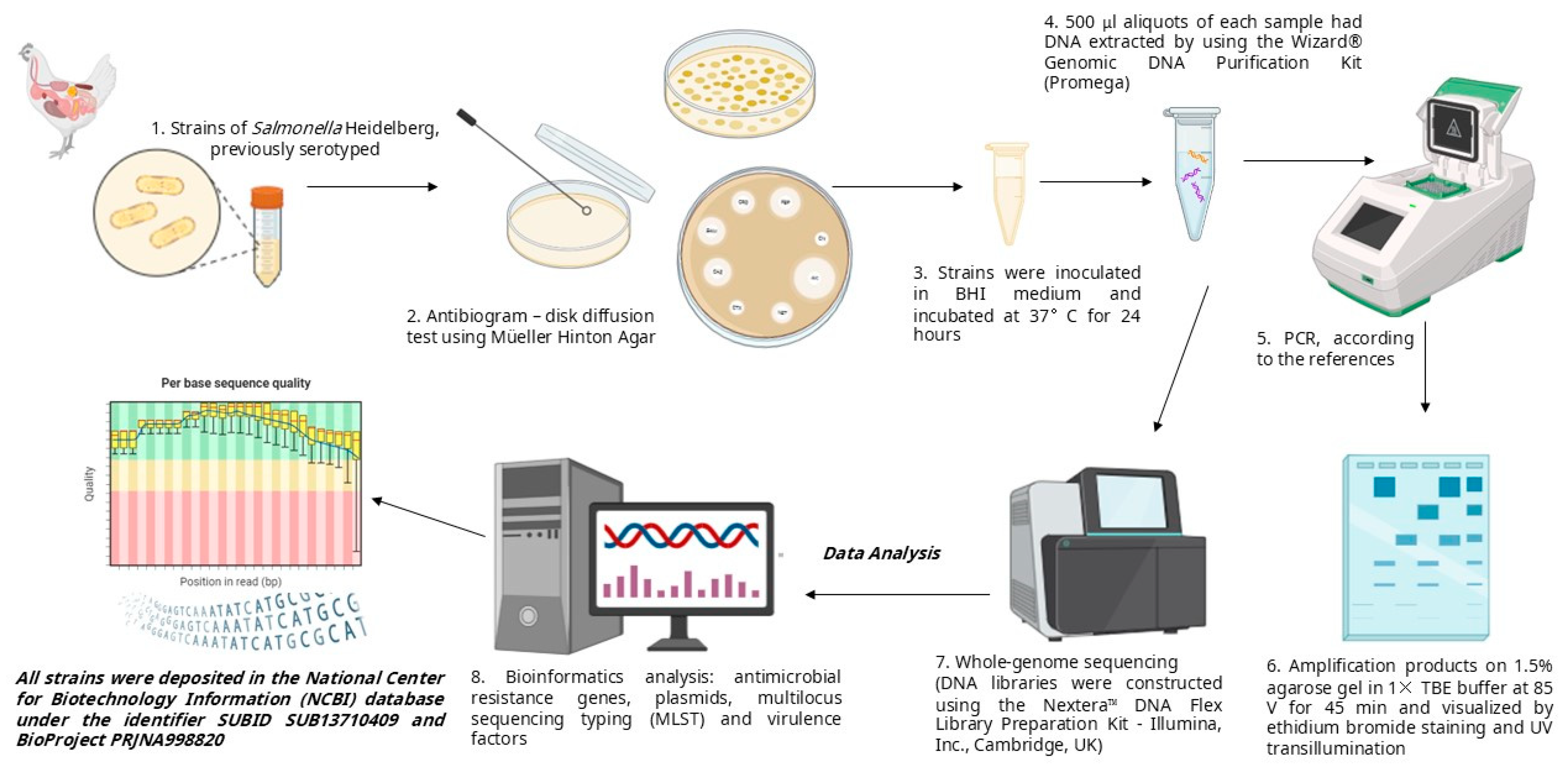 Animals 15 01003 g001