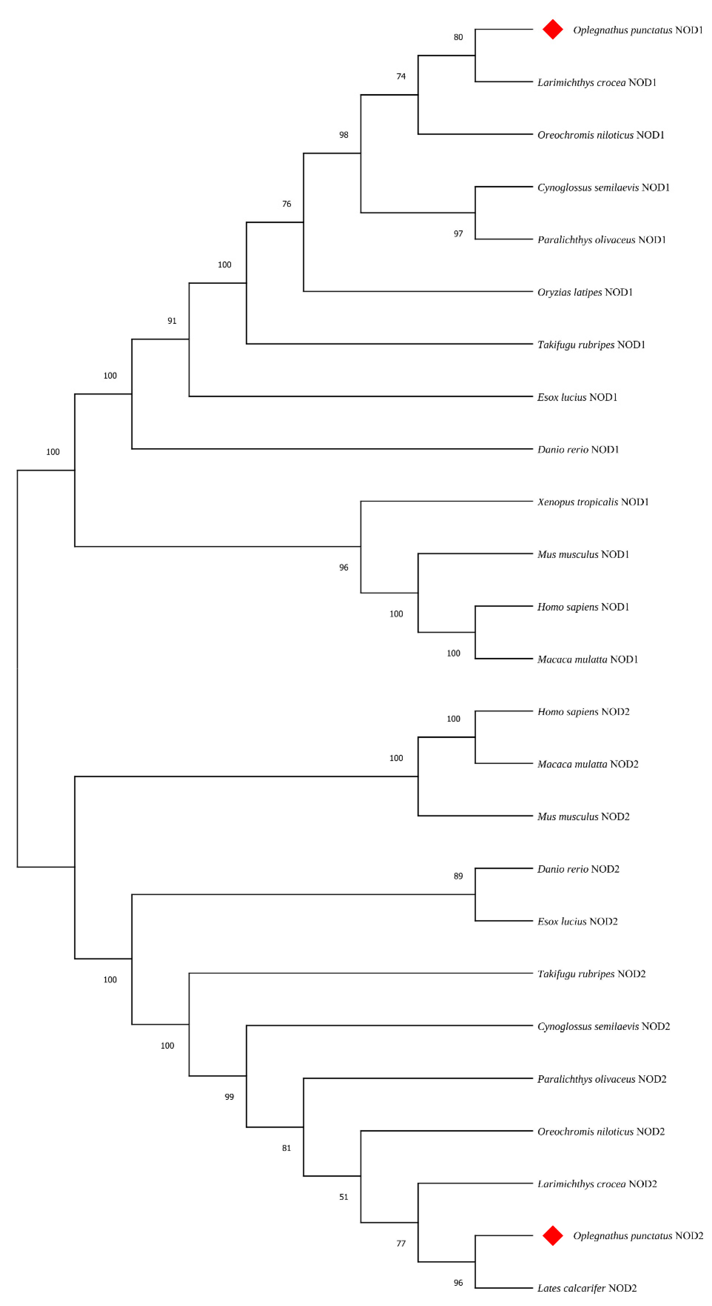 Animals 15 01006 g004 Animals 15 01006 g004