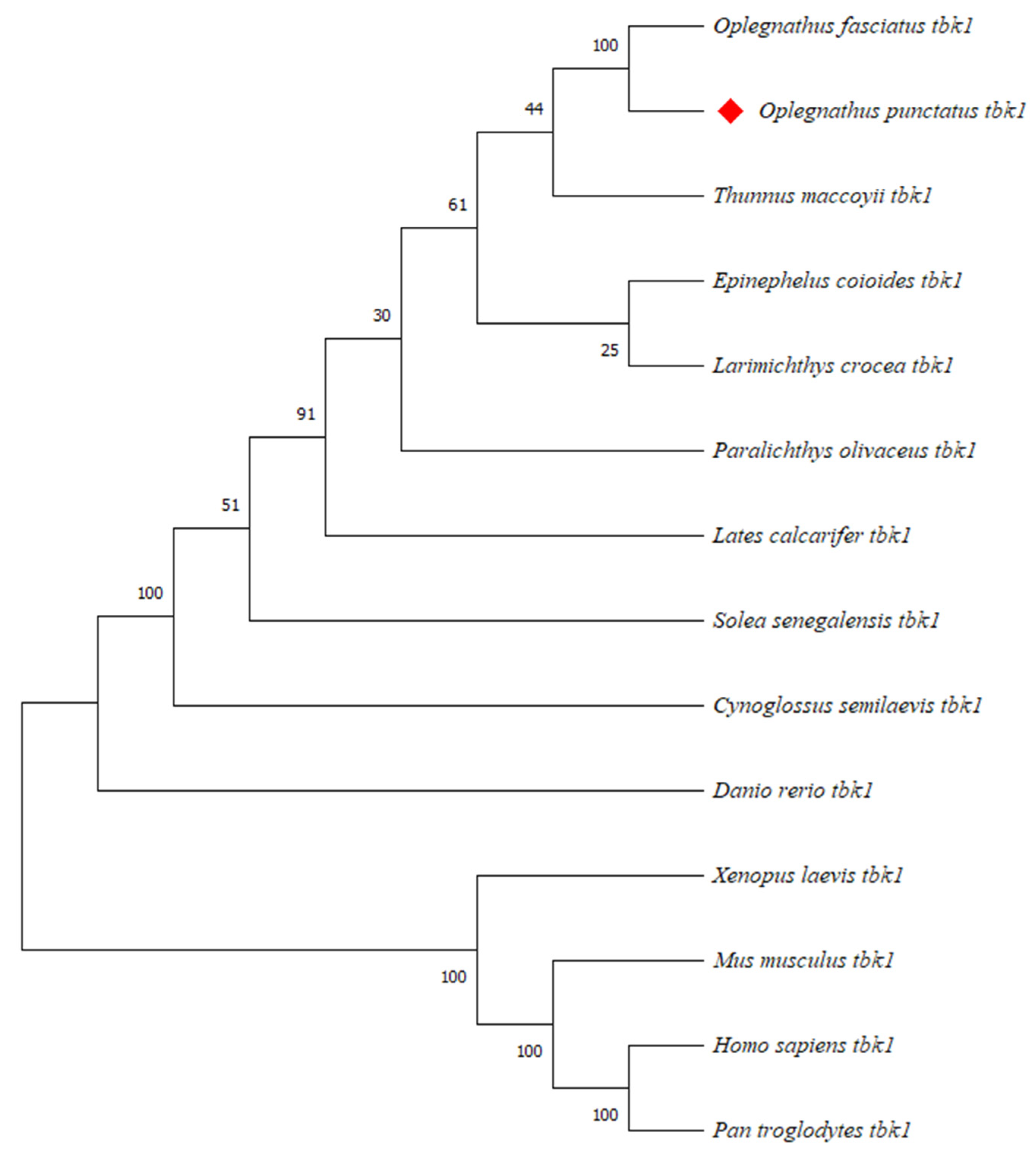 Animals 15 01006 g005 Animals 15 01006 g005