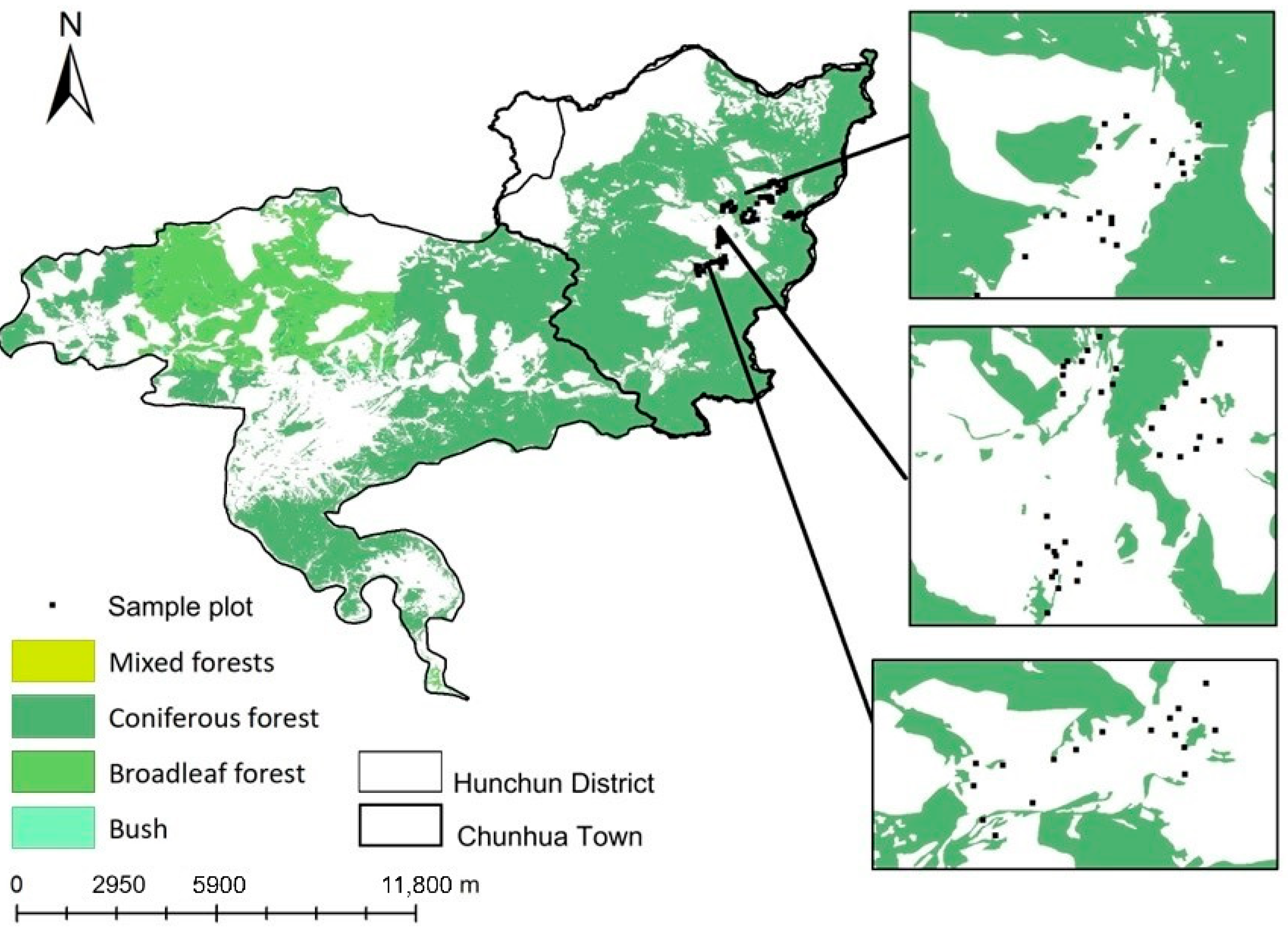 Animals 15 01017 g001