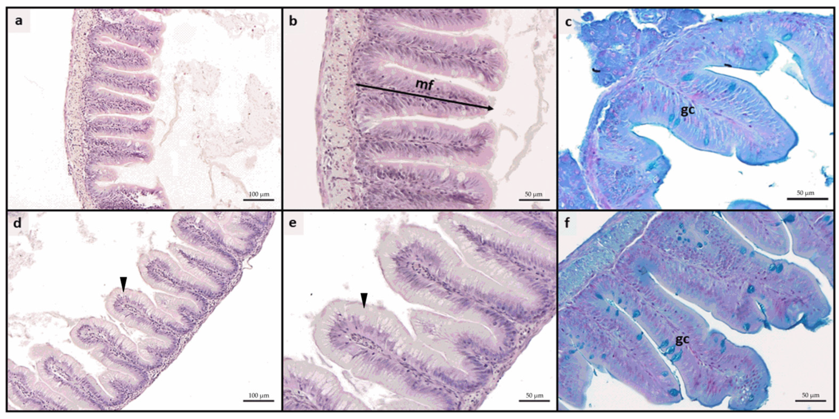 Animals 15 01020 g001
