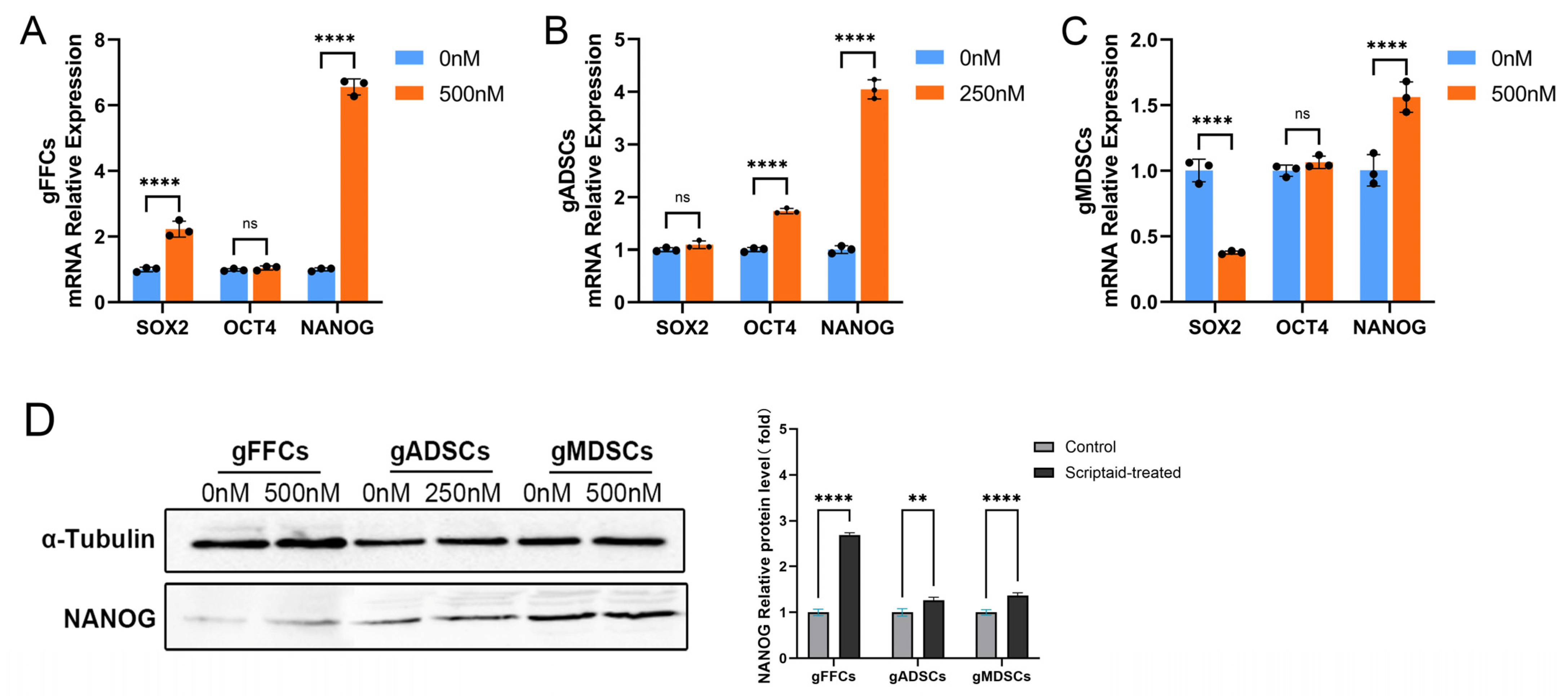 Animals 15 01022 g003