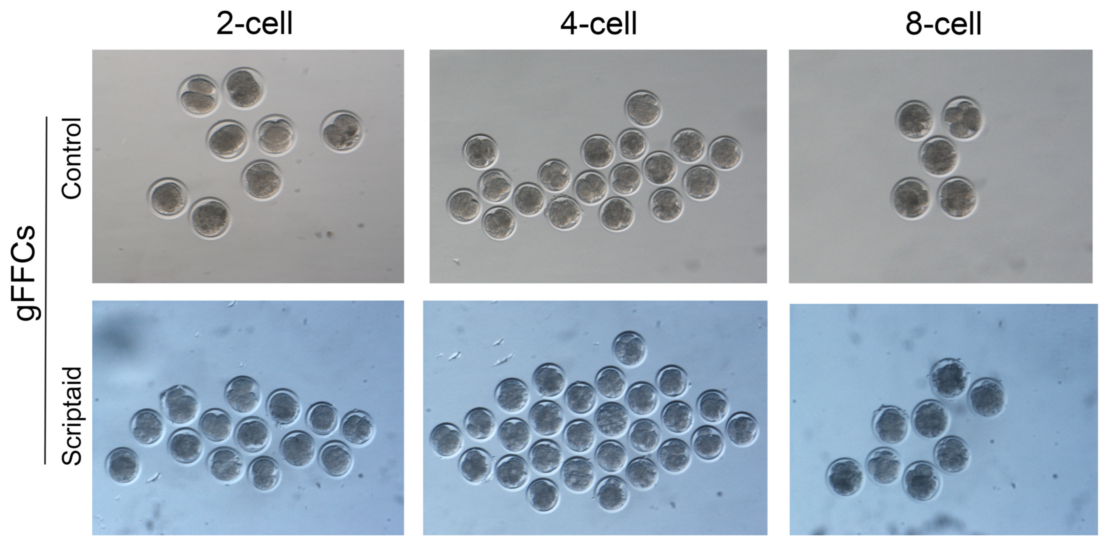 Animals 15 01022 g006