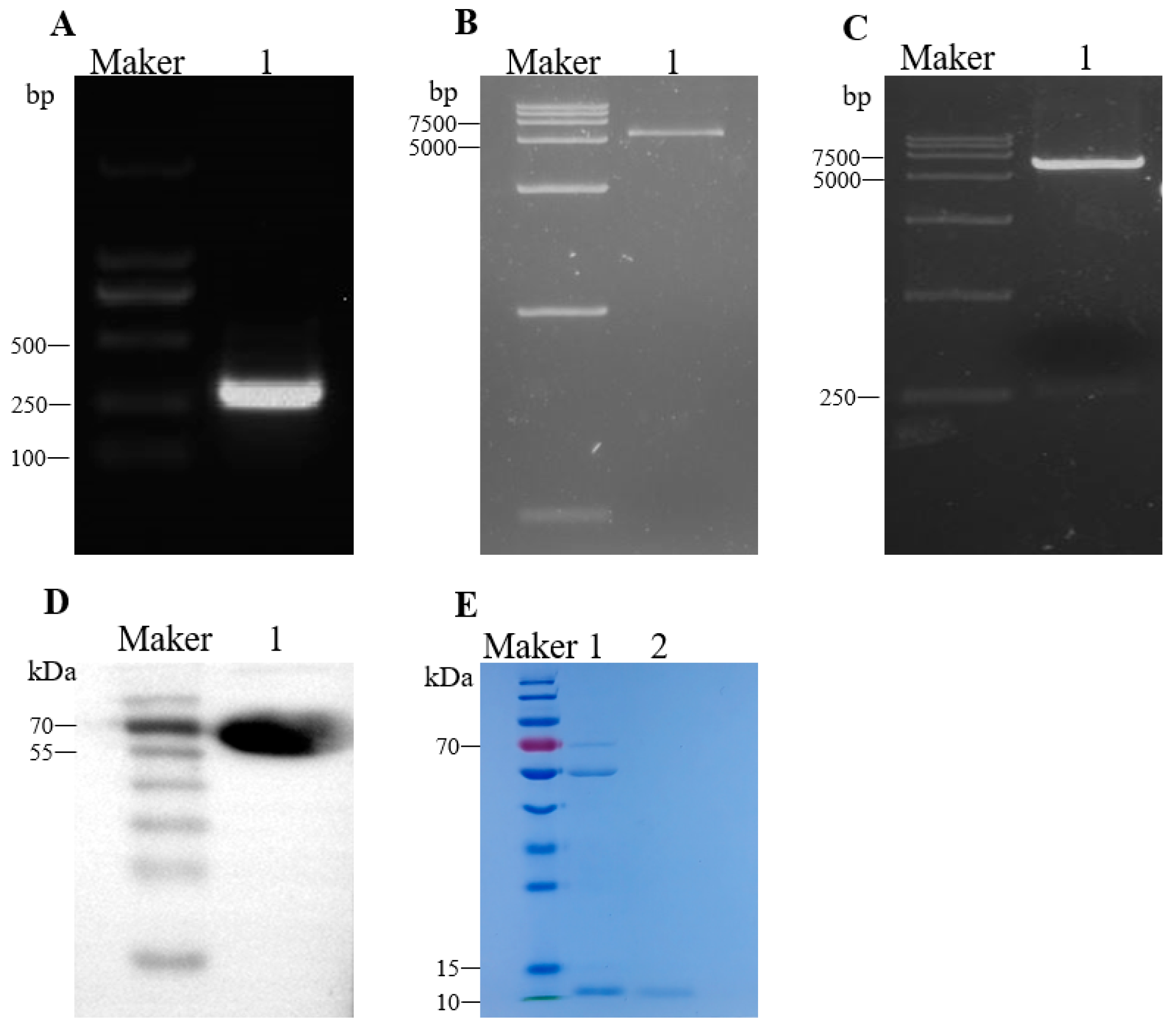 Animals 15 01023 g001