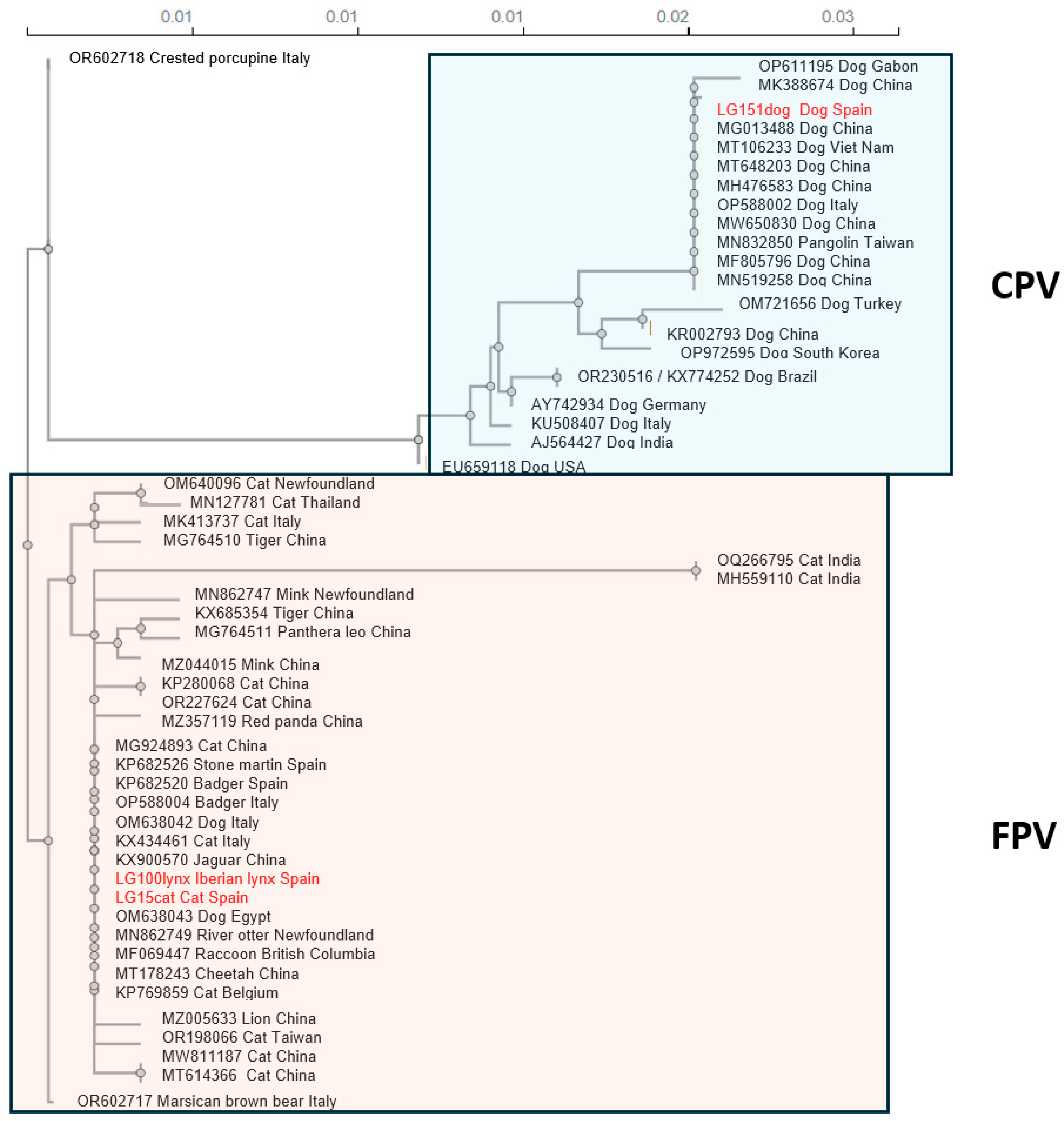 Animals 15 01026 g004