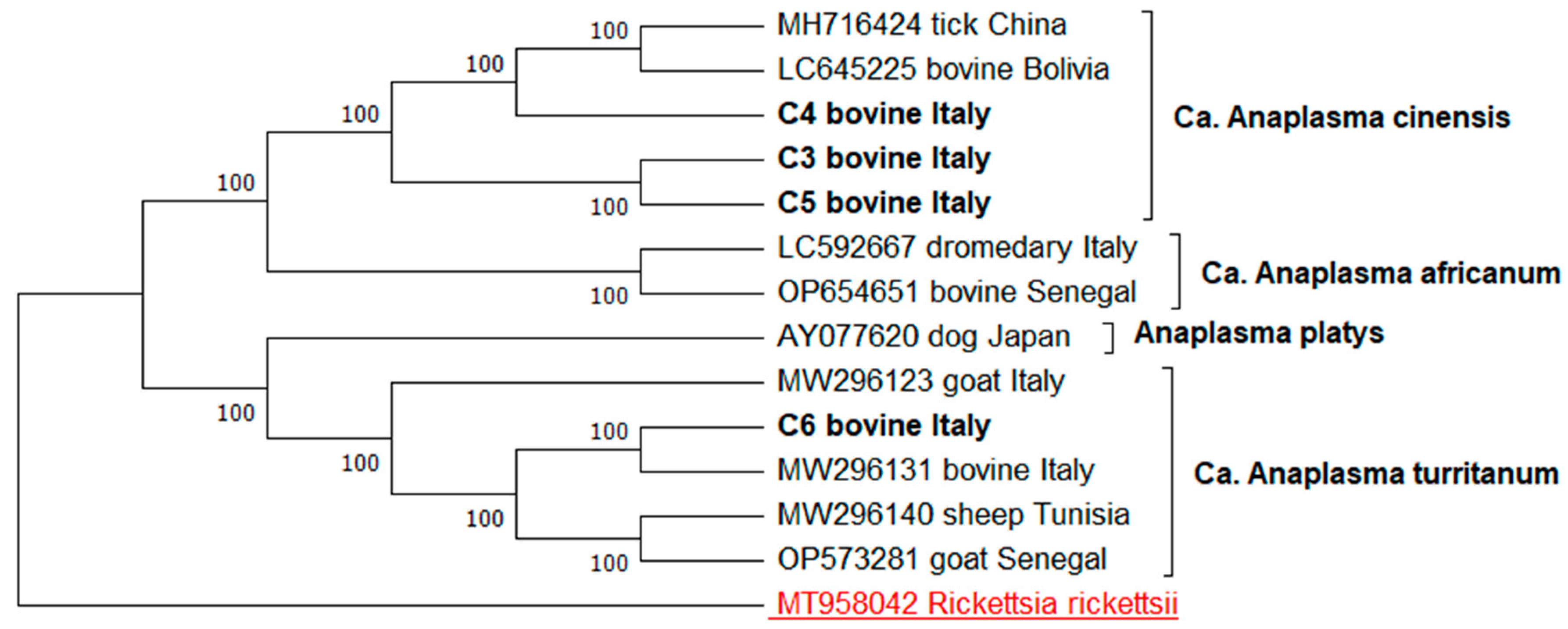 Animals 15 01029 g001 Animals 15 01029 g001