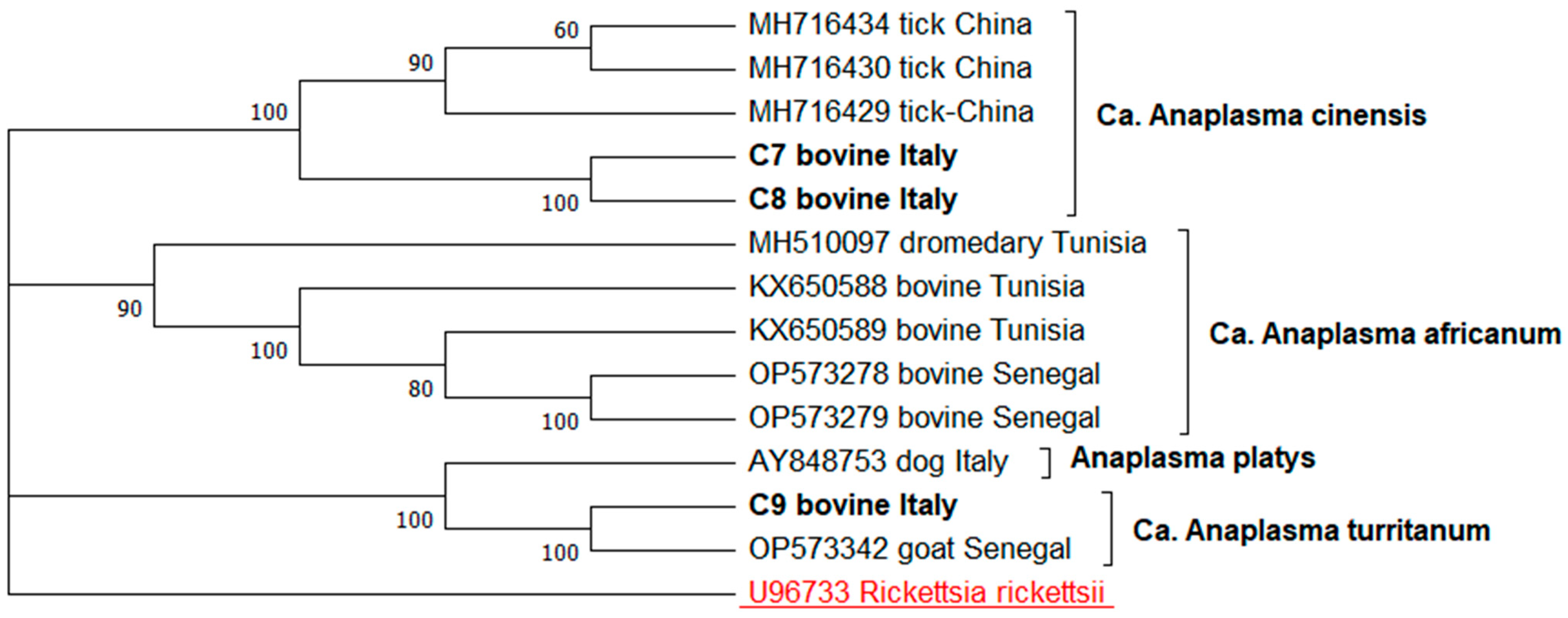 Animals 15 01029 g002 Animals 15 01029 g002