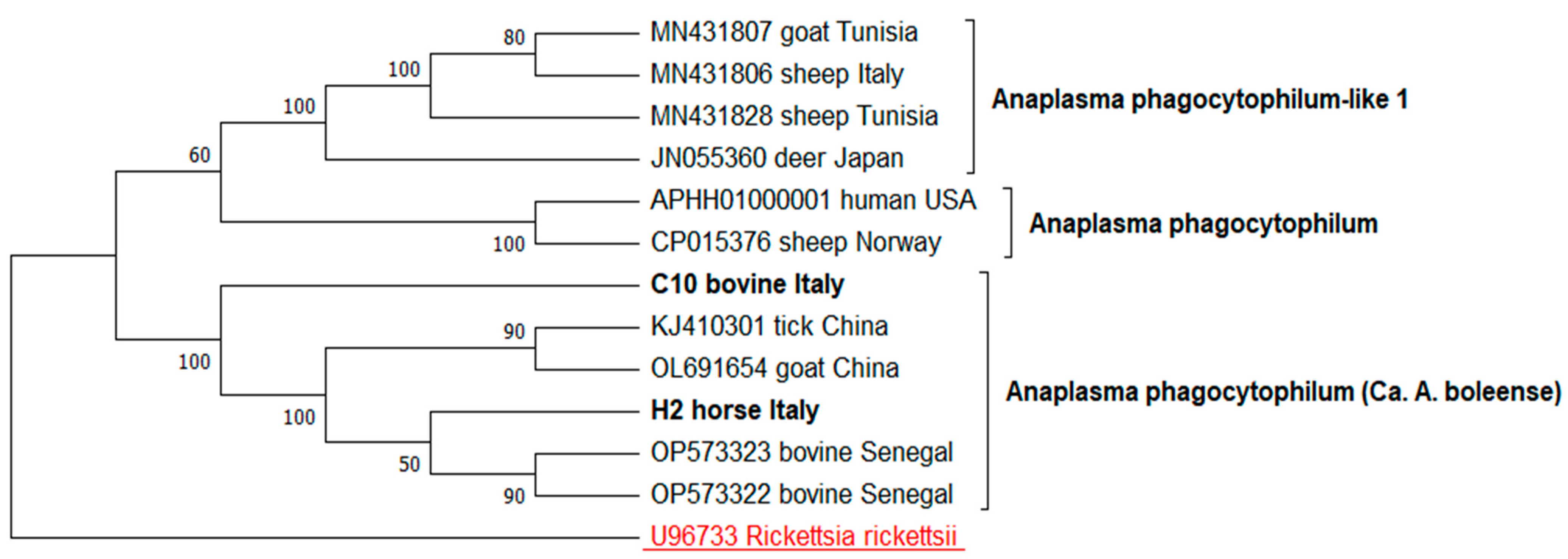 Animals 15 01029 g003 Animals 15 01029 g003