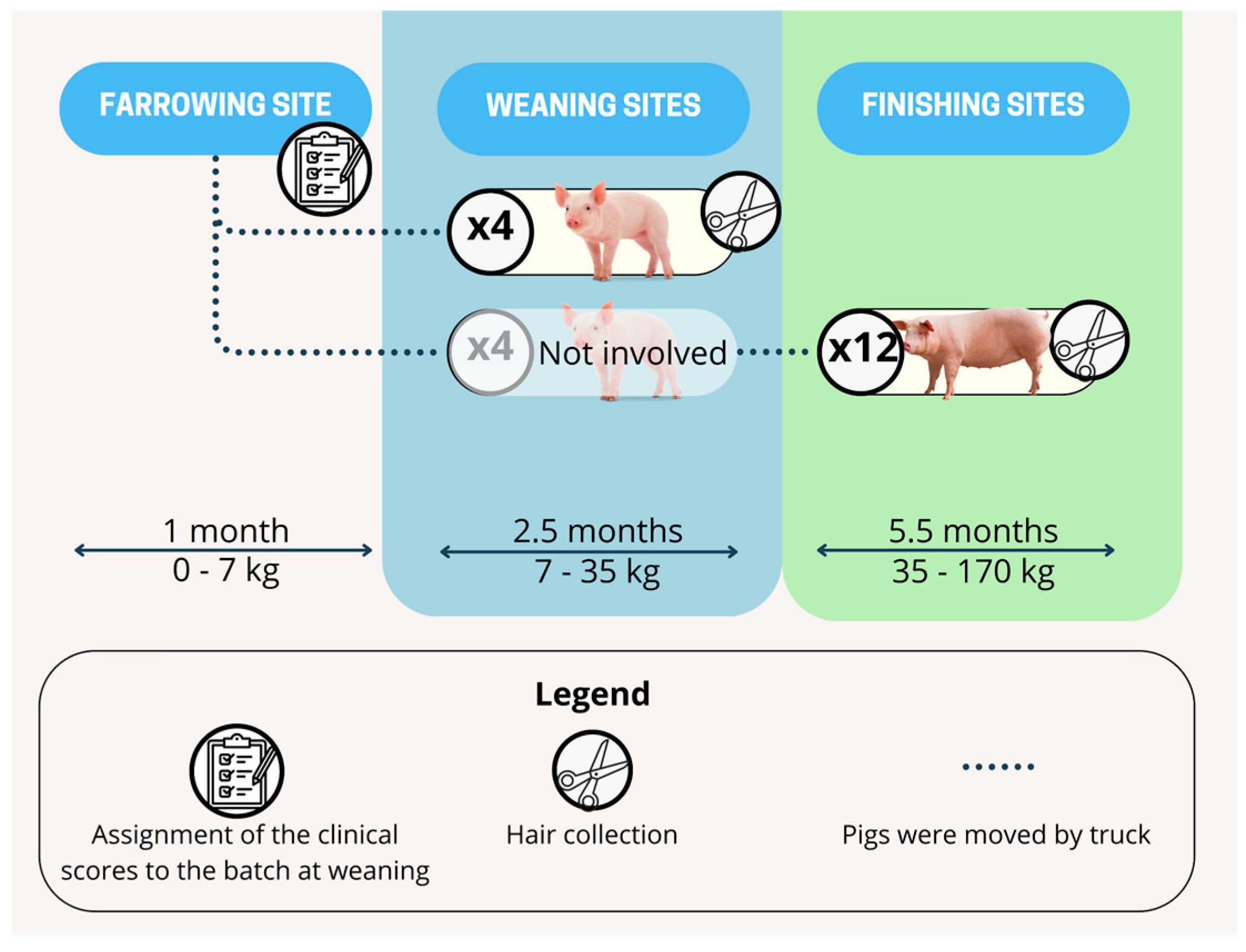 Animals 15 01032 g001