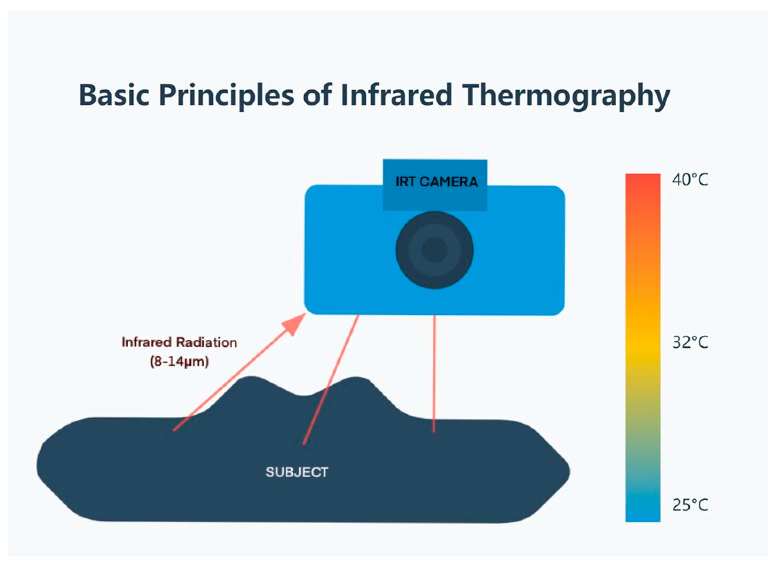 Animals 15 01033 g001