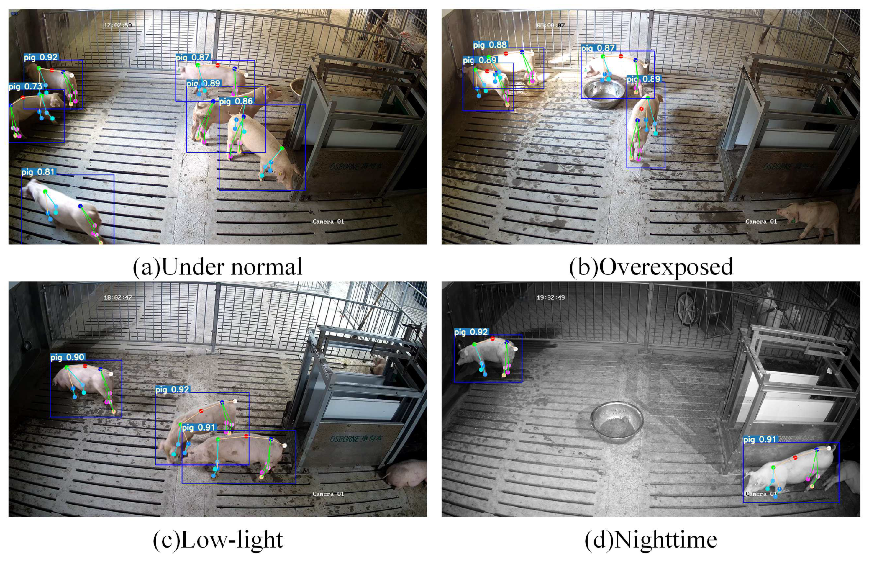 Animals 15 01040 g007