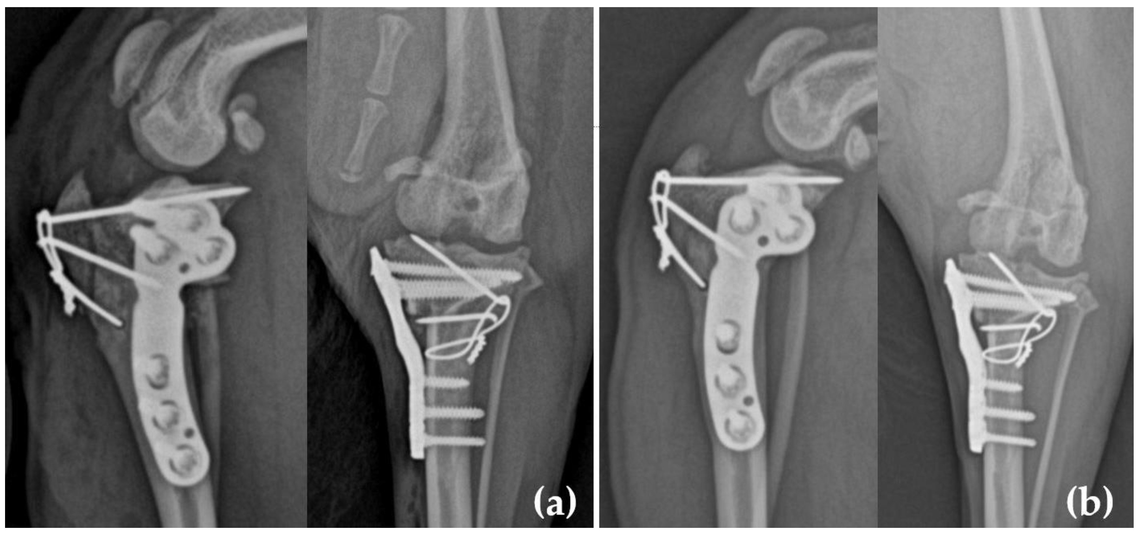 Animals 15 01042 g003