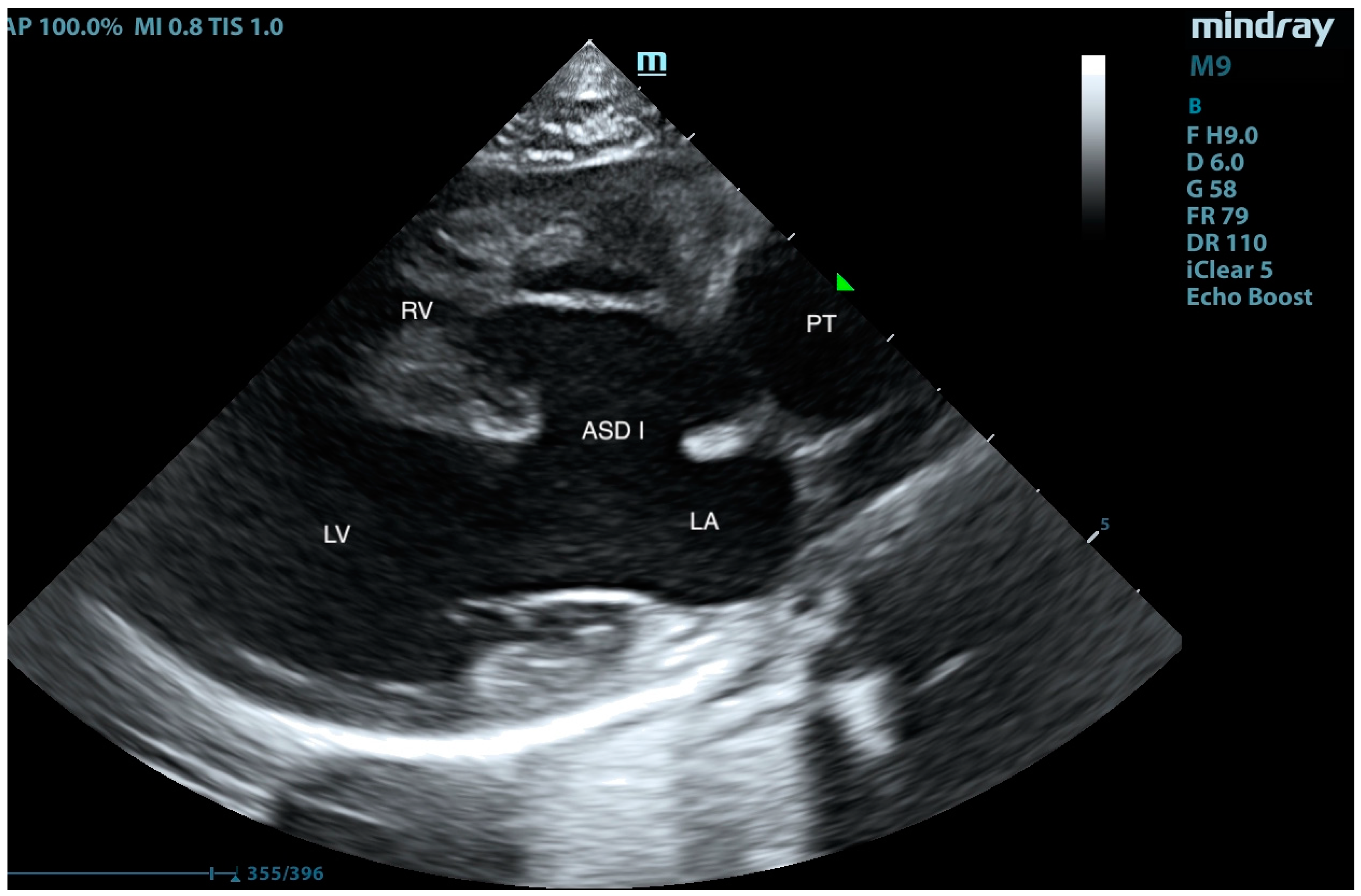 Animals 15 01044 g002