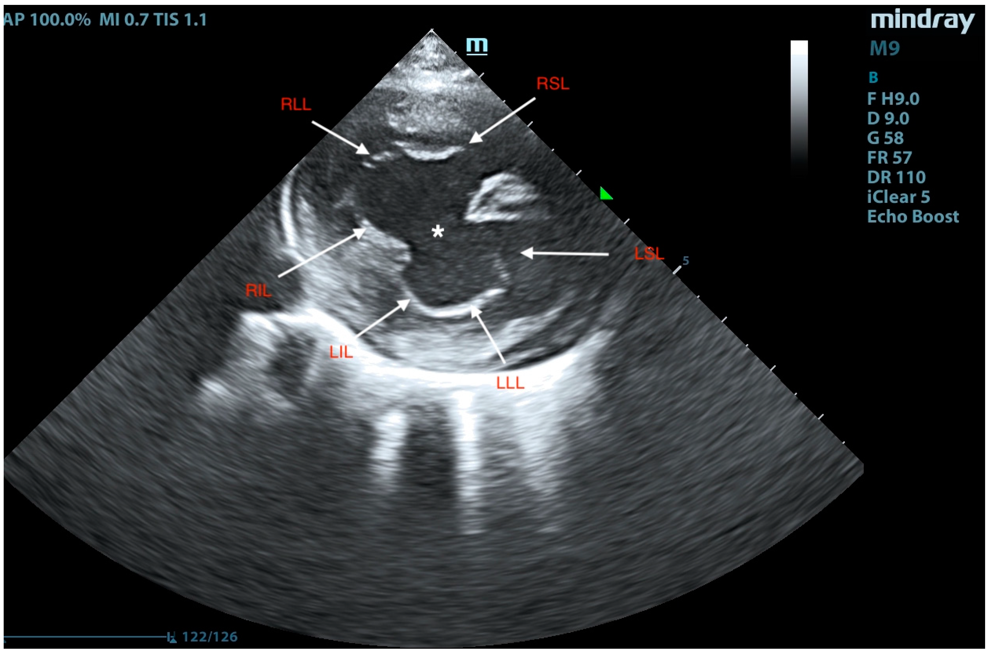 Animals 15 01044 g005