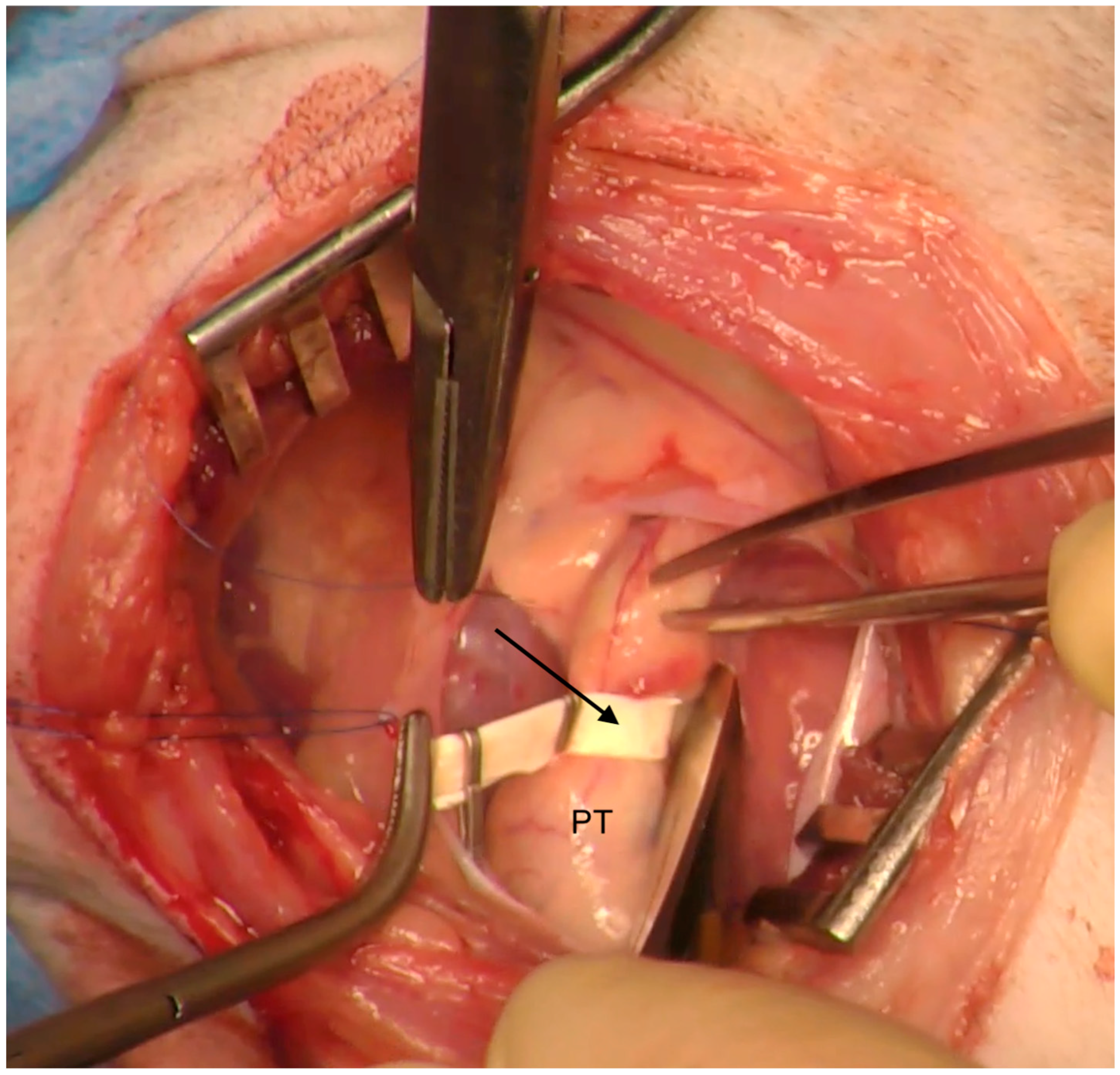 Animals 15 01044 g007