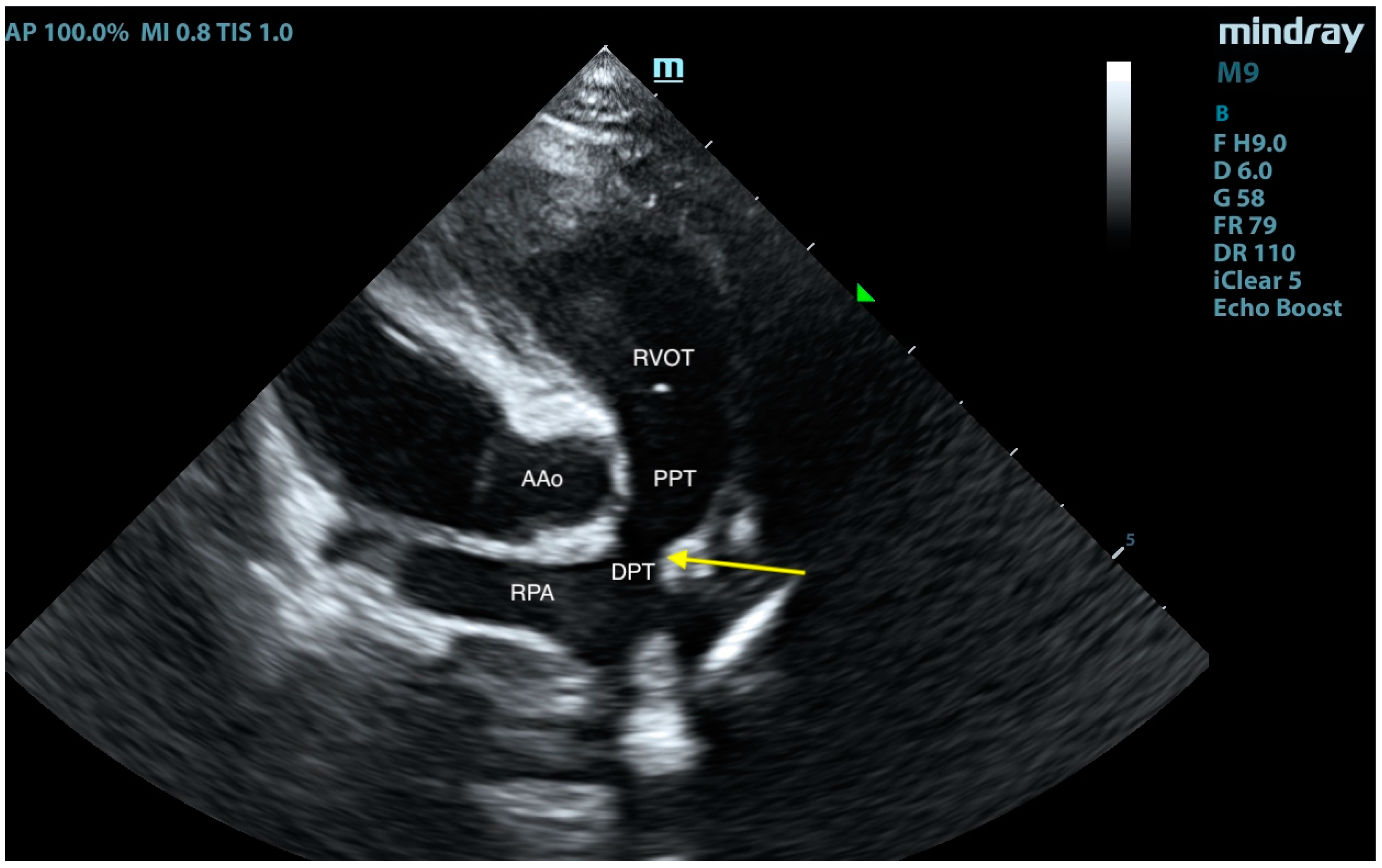 Animals 15 01044 g008