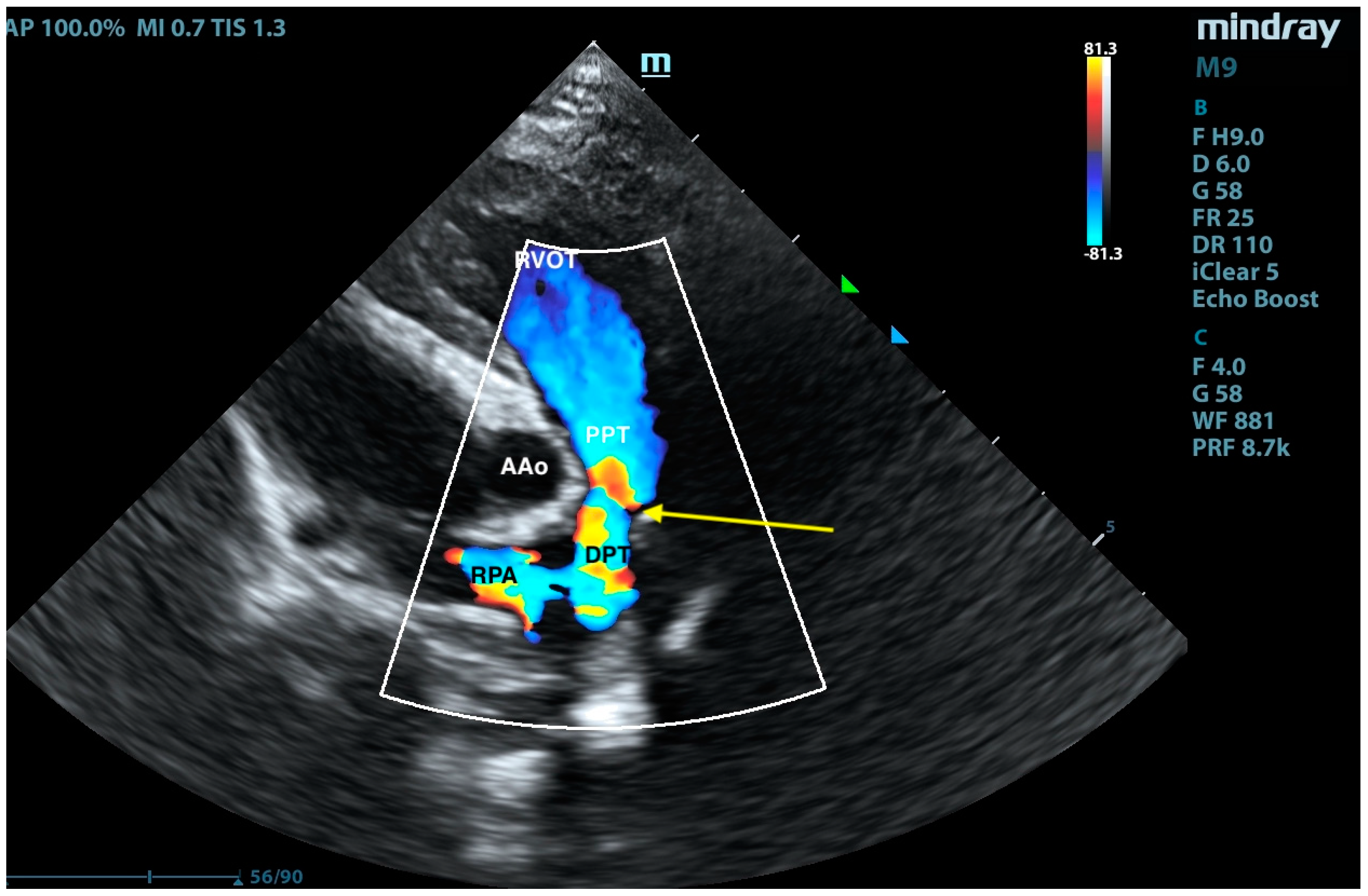Animals 15 01044 g009