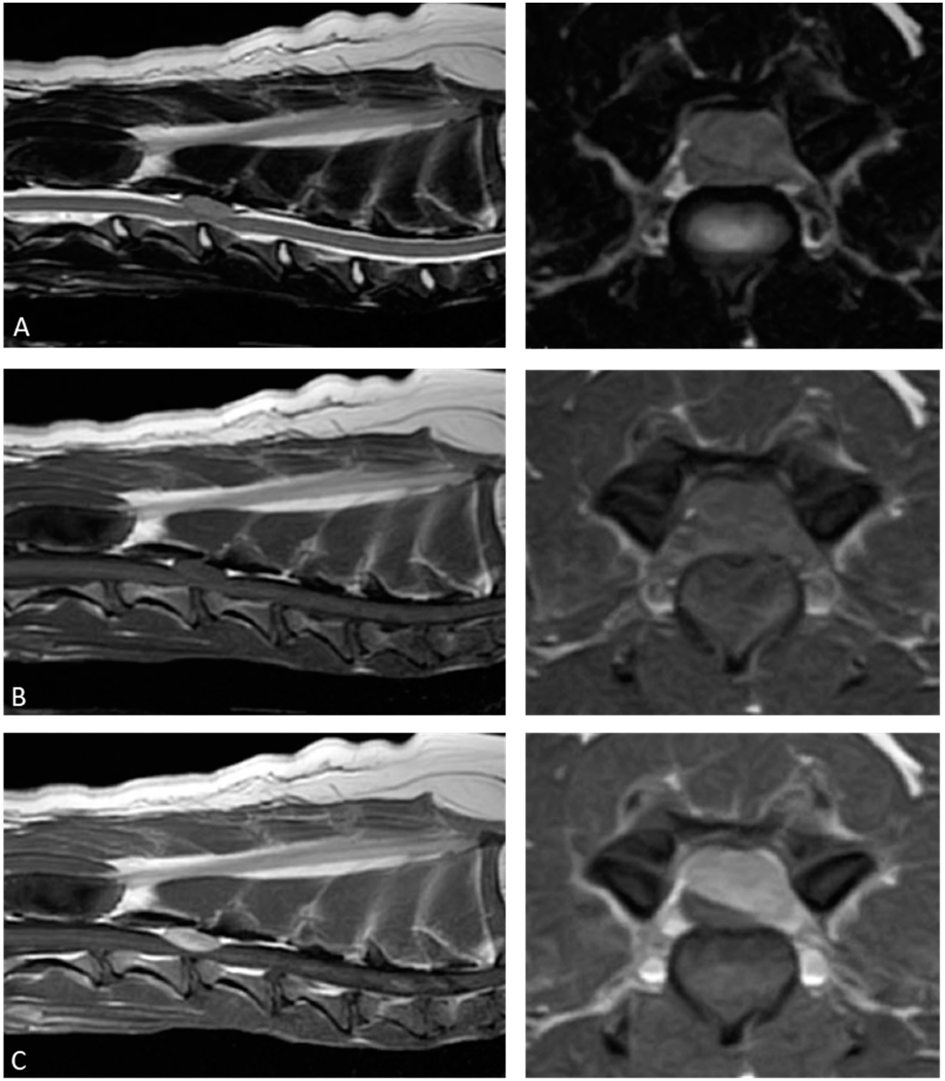 Animals 15 01049 g001 Animals 15 01049 g001