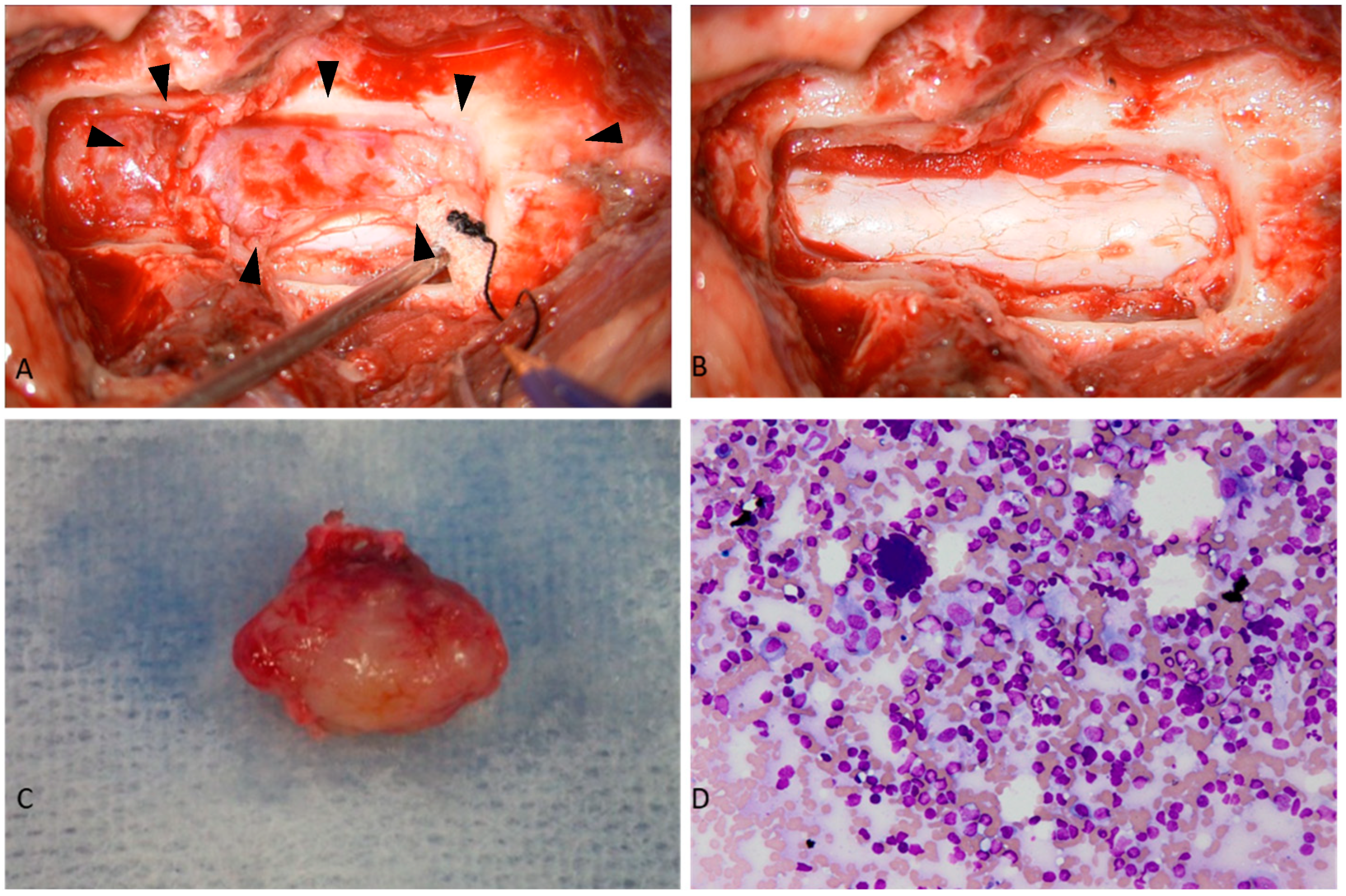 Animals 15 01049 g002 Animals 15 01049 g002