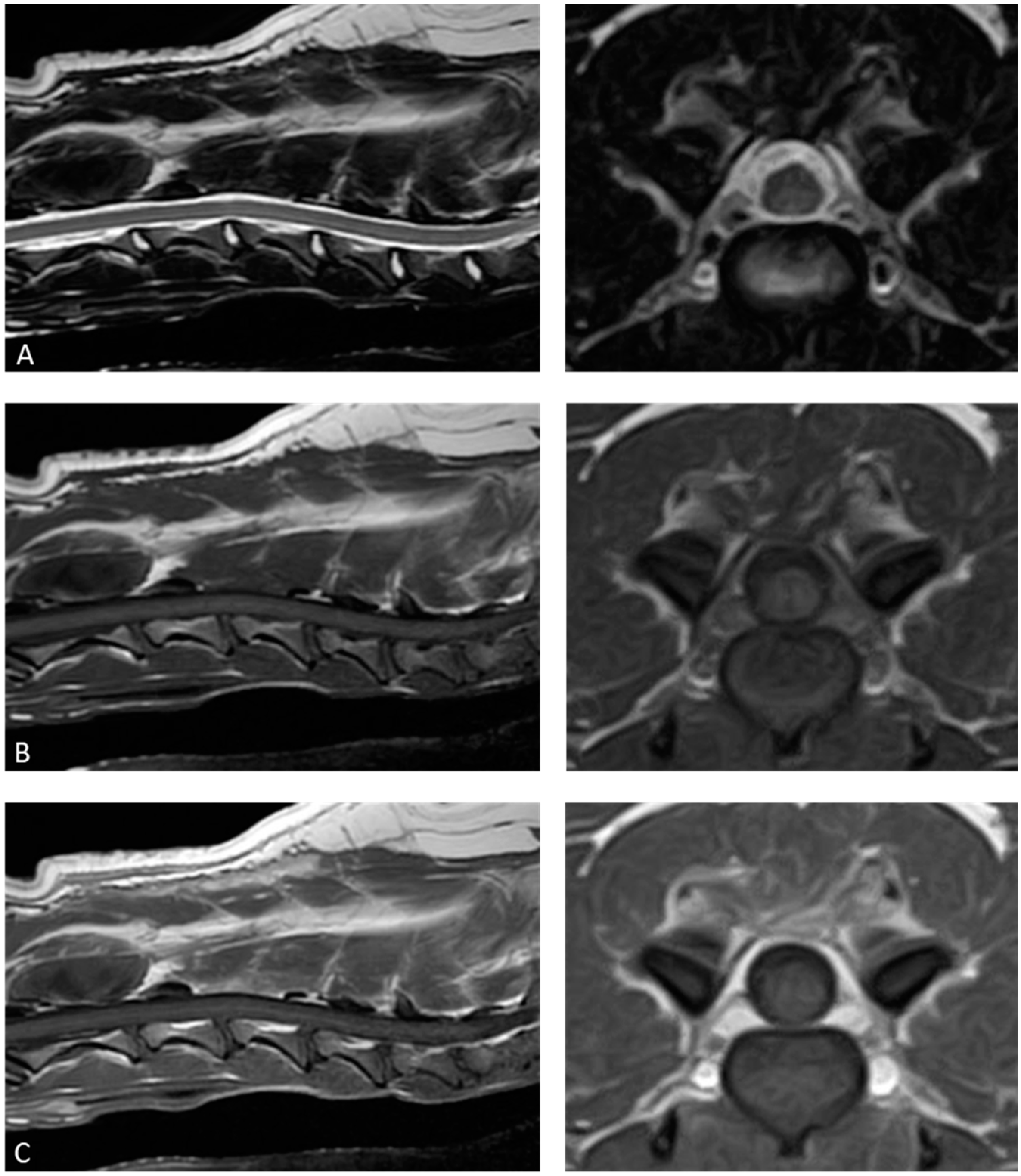 Animals 15 01049 g004 Animals 15 01049 g004