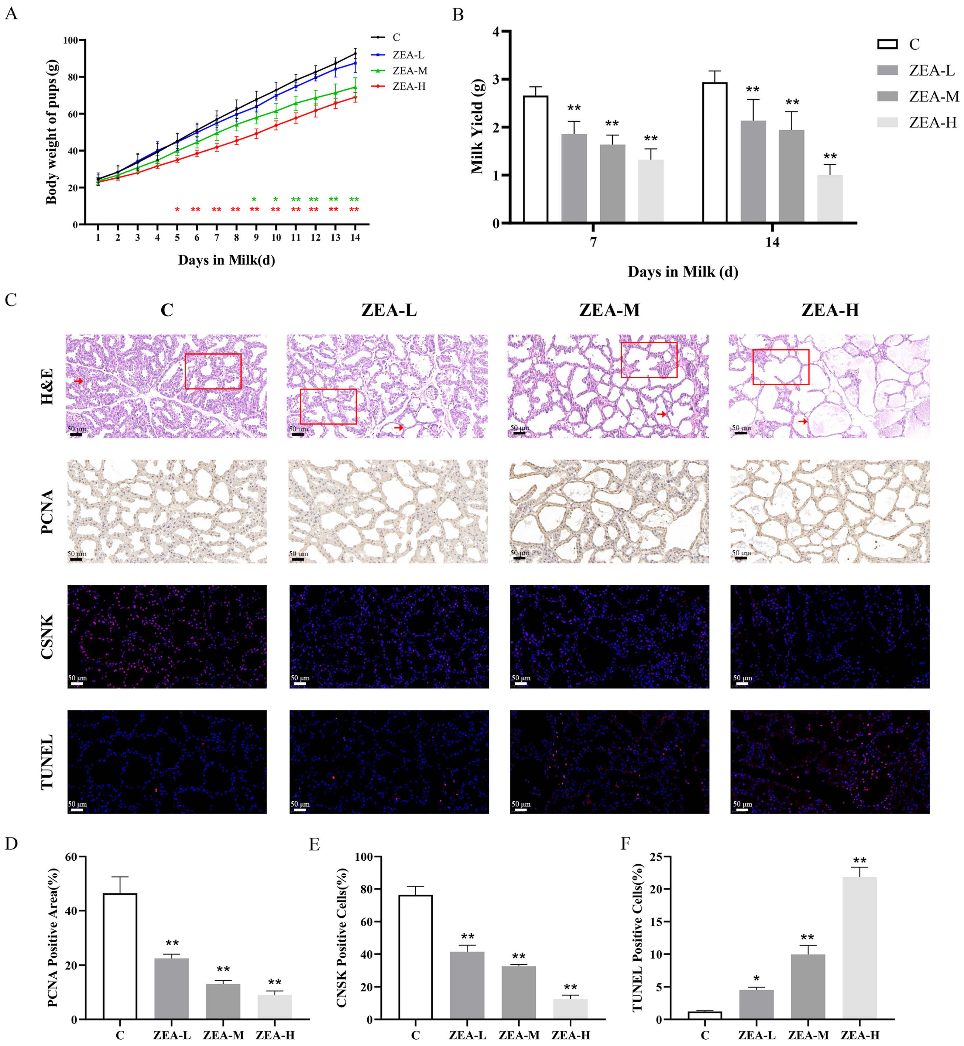 Animals 15 01050 g001